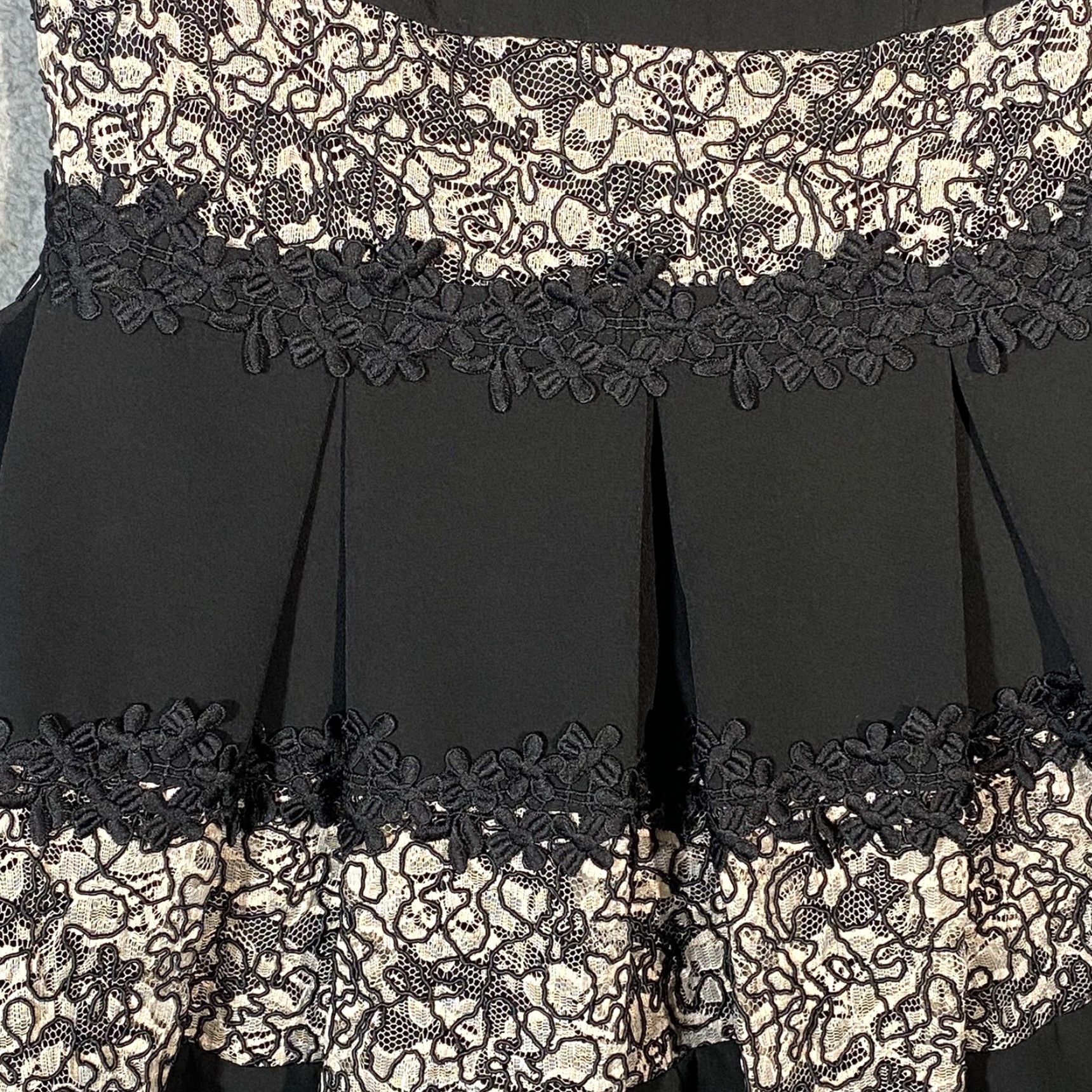 Vintage Tahari Floral Dress Embroidered Lace Stripe Black Blush Knee Length Size 6P Dress Fit & Flare Women Sleeveless Formal Party/Cocktail Wedding Size M / US 6-8 / IT 42-44 - 5 Thumbnail