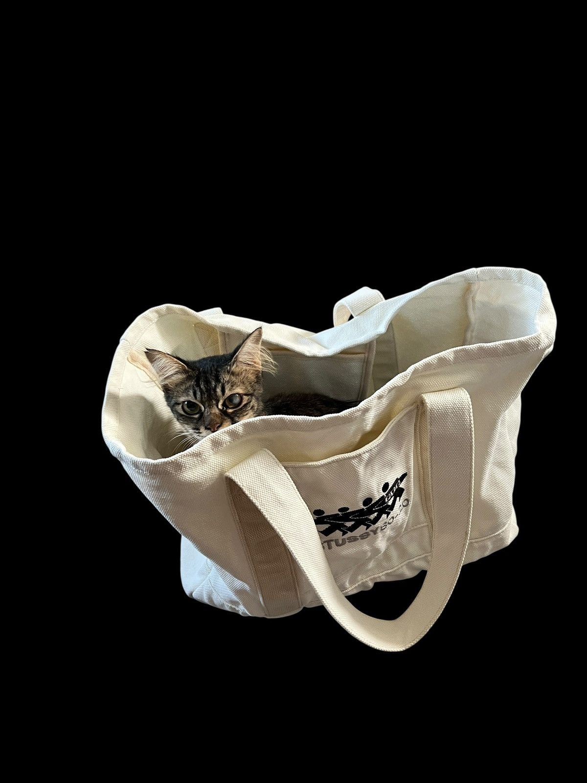 Comme des Garcons × Stussy Stussy x Comme des Garçons Heavy Canvas Tote Bag Size ONE SIZE - 11 Thumbnail
