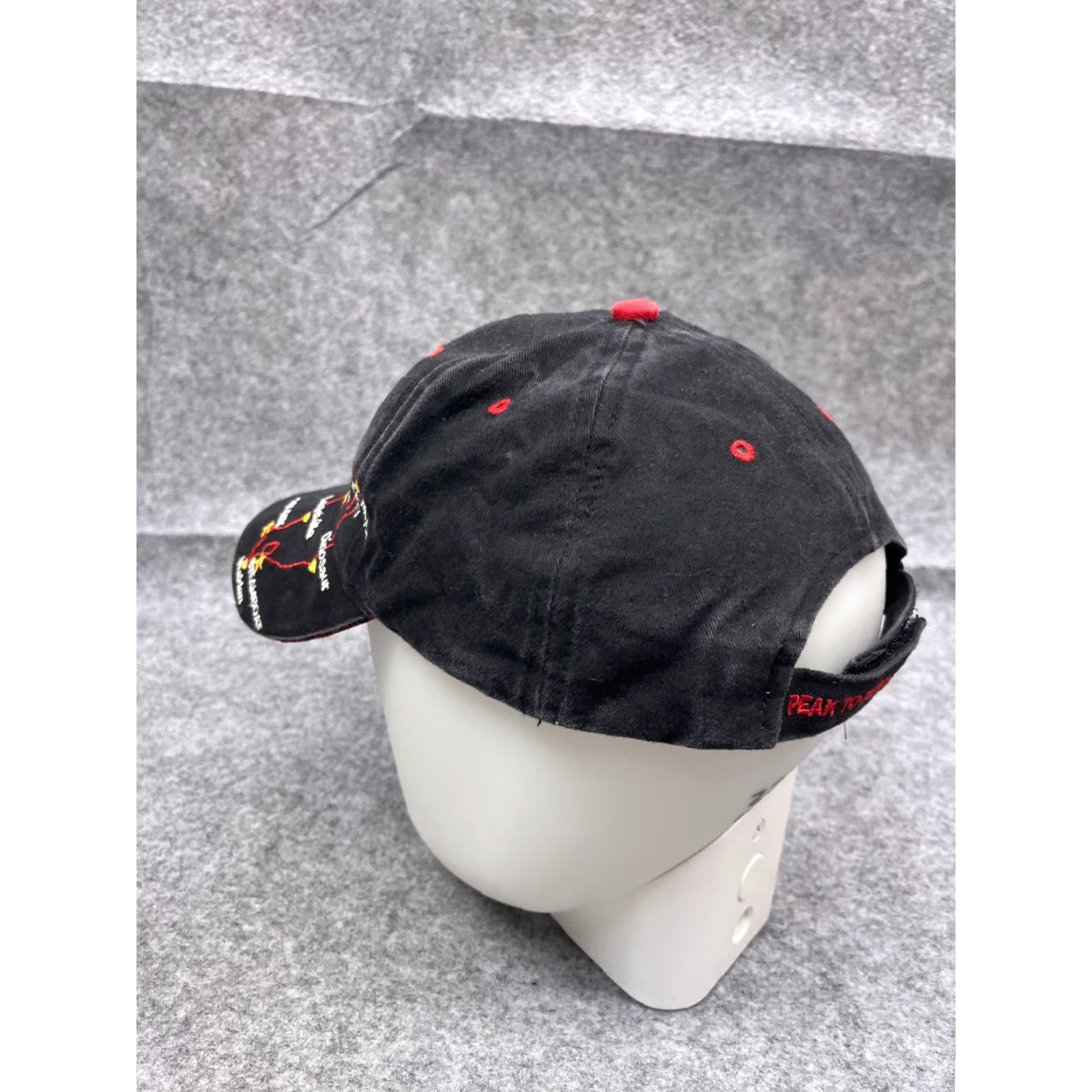 Vintage Peak To Peak Rallye 2010 Racing Hat Cap Adjustable One Size Black Cotton Twill Men Baseball Cap Size ONE SIZE - 5 Thumbnail