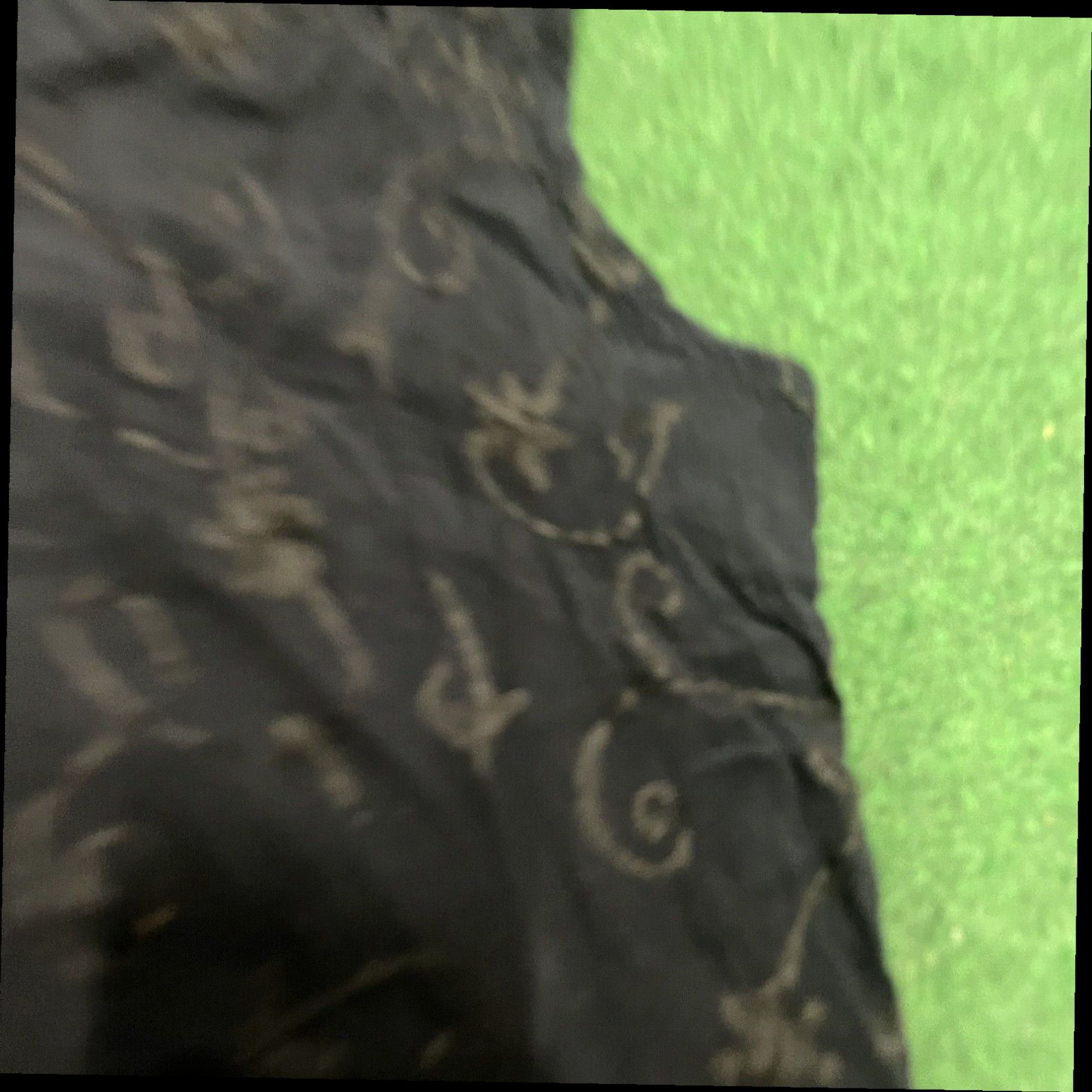Vintage Vintage Xotica Dress Women's XL Maxi Goth Beach Summer Cover Up Size XL / US 12-14 / IT 48-50 - 3 Thumbnail