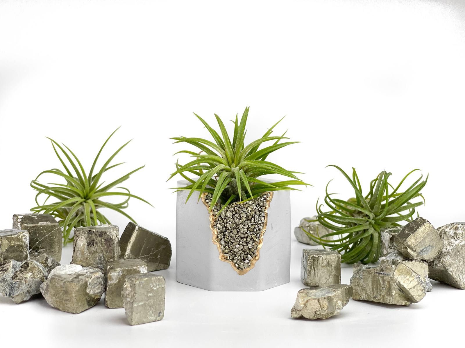 Other Succulent Pyrite Crystal Planter Geode Air Plant Gemstone Size ONE SIZE - 2 Thumbnail