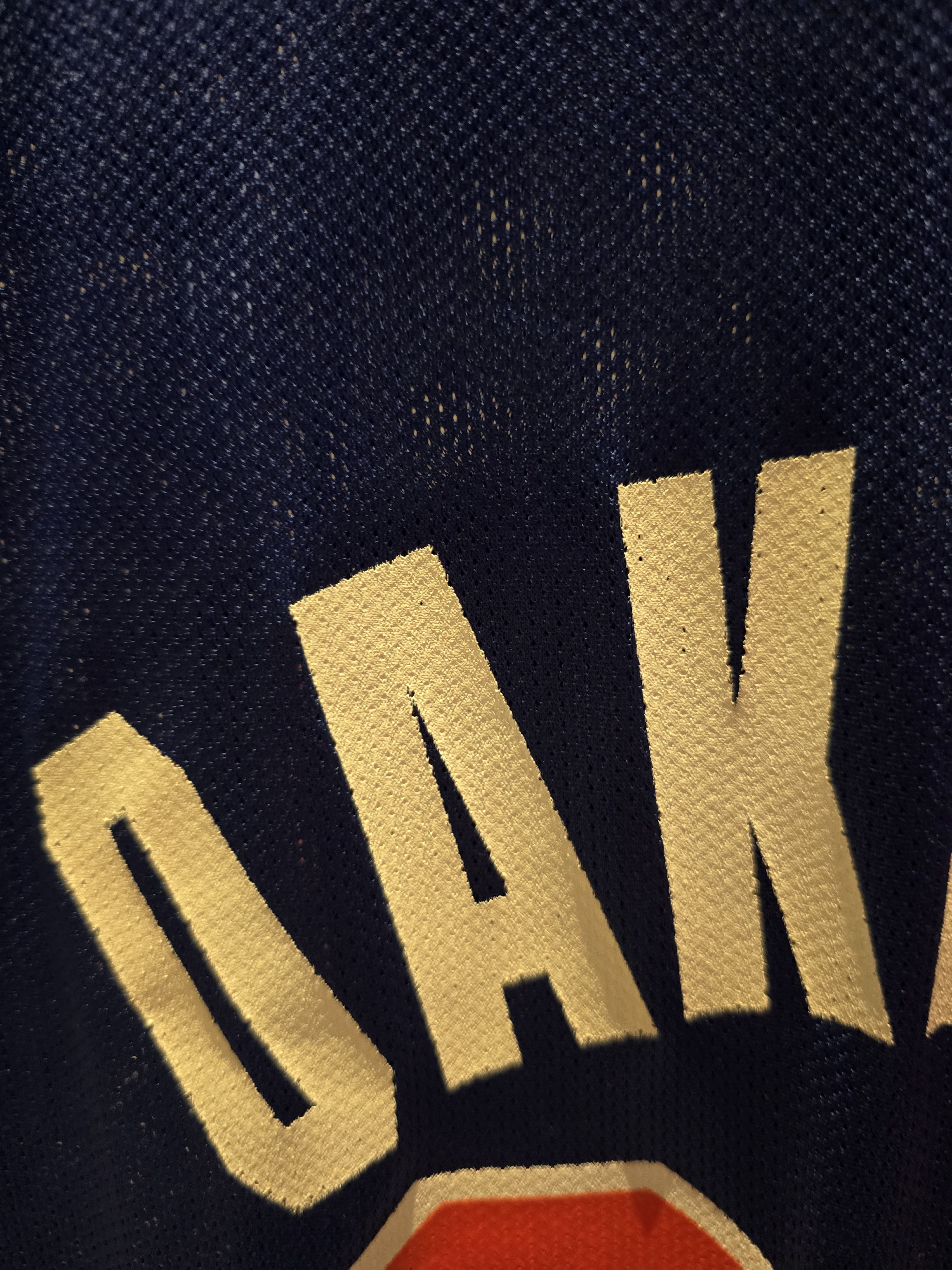 Champion Charles Oakley 1991 Authentic Champion jersey Size US M / EU 48-50 / 2 - 13 Thumbnail