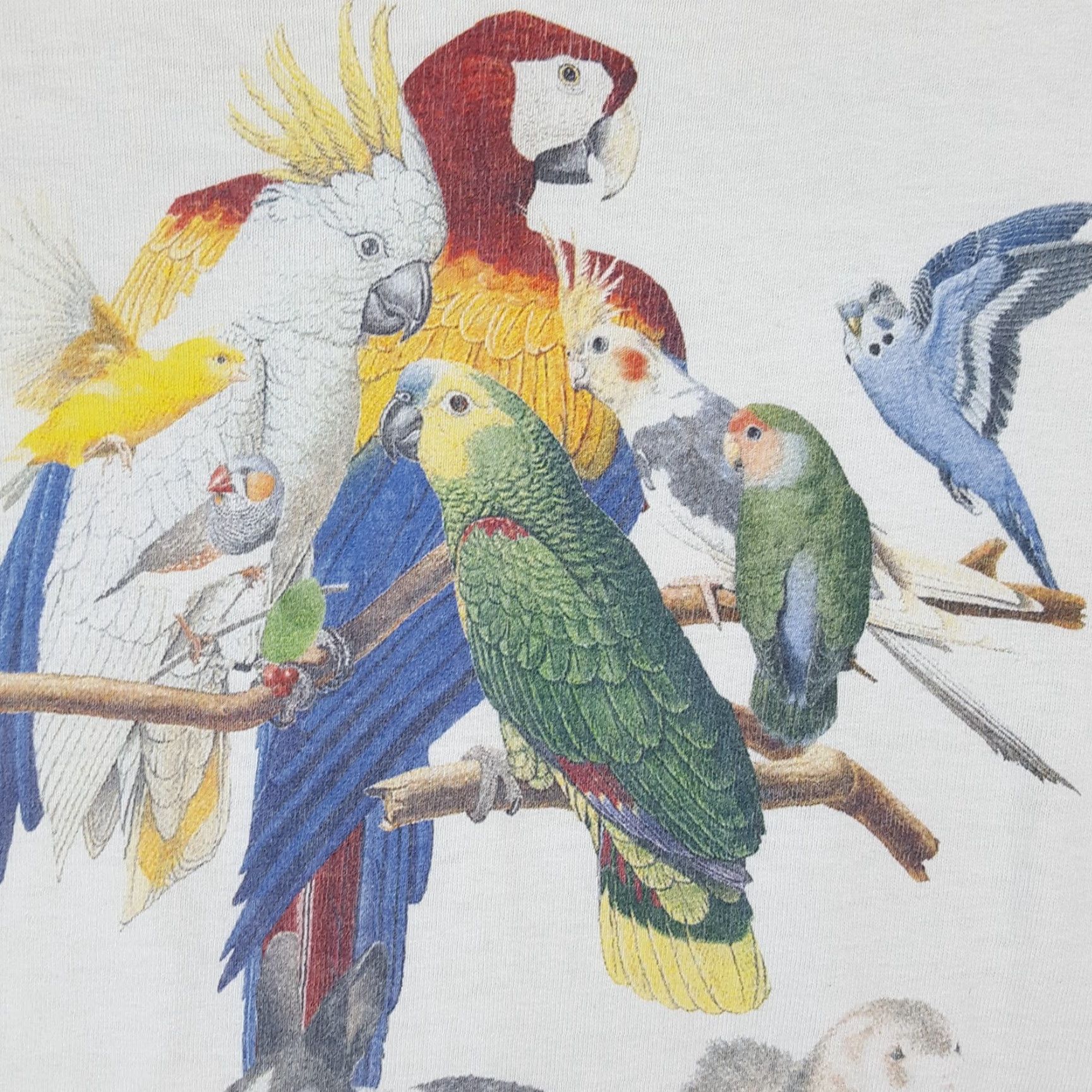 Fruit Of The Loom Vintage 90s Nature Animals Birds Bunny Men's Large White Forest Retro T Shirt Size US L / EU 52-54 / 3 - 7 Thumbnail