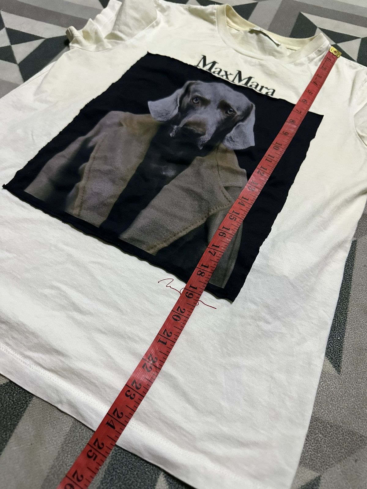 Max Mara Max Mara 2022 Omotesando Limited William Wegman Dog Photo Size M / US 6-8 / IT 42-44 - 10 Thumbnail