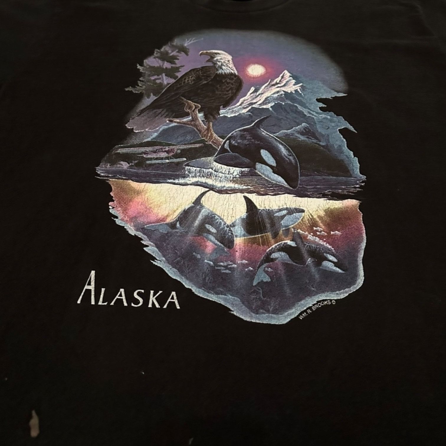 Fruit Of The Loom Alaska 90s wilderness shirt Size US XL / EU 56 / 4 - 2 Thumbnail