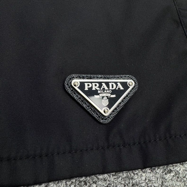 Prada Prada Metal nylon triangle drawstring functional shorts 250 Size US 26 / EU 42 - 5 Thumbnail