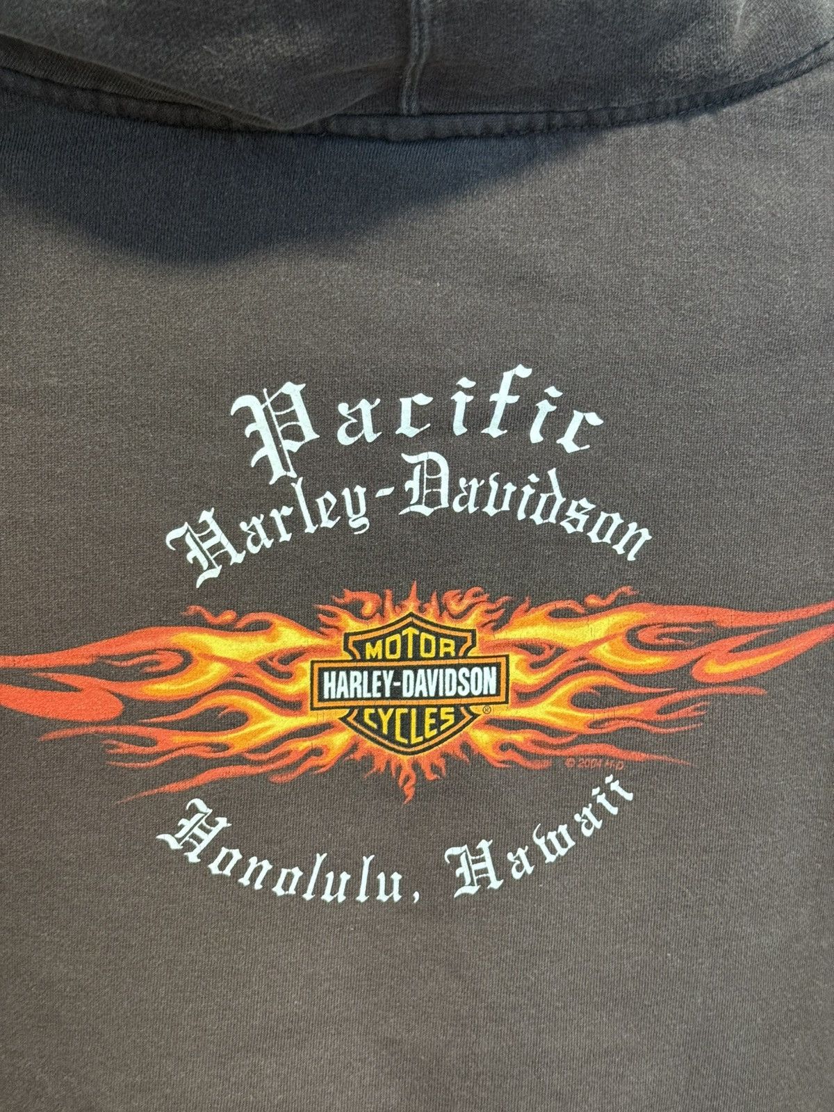 Harley Davidson Harley Davidson Honolulu Pacific Flaming Hoodie Choco Brown Size US M / EU 48-50 / 2 - 5 Thumbnail