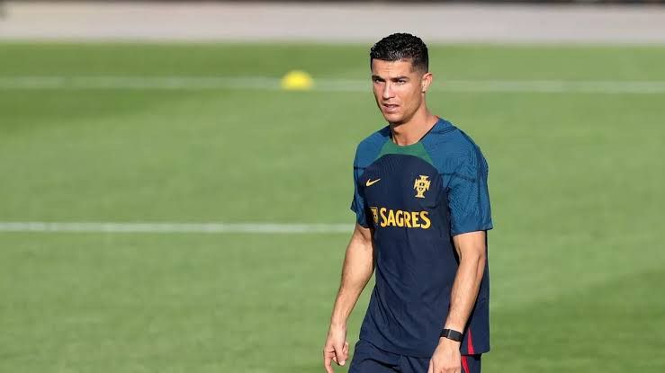 Nike (L) Portugal 2022 Strike Training Kit Size US L / EU 52-54 / 3 - 6 Thumbnail