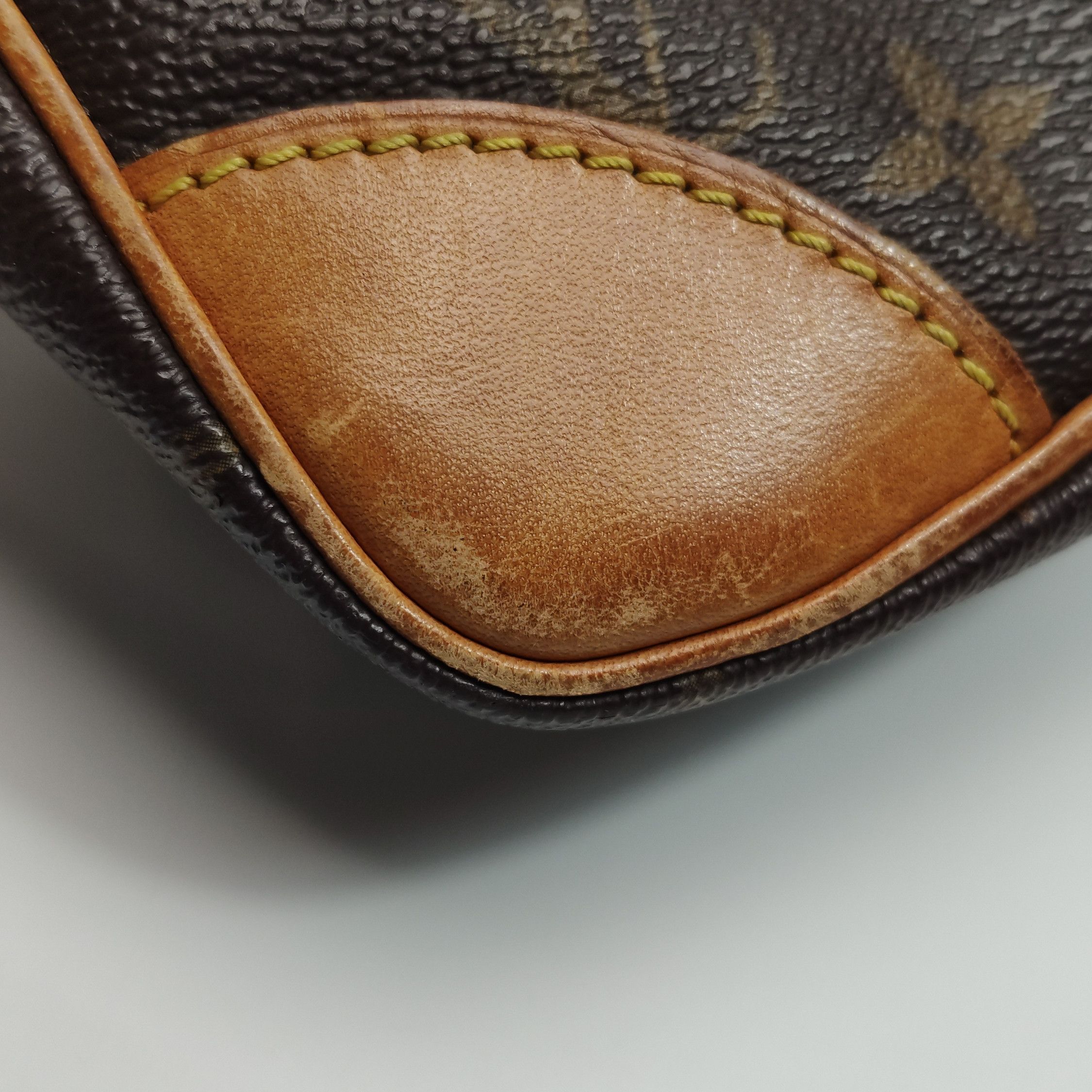 Louis Vuitton (Lv) Amazone Camera Bag Vegetable Tanned Leat, Women's