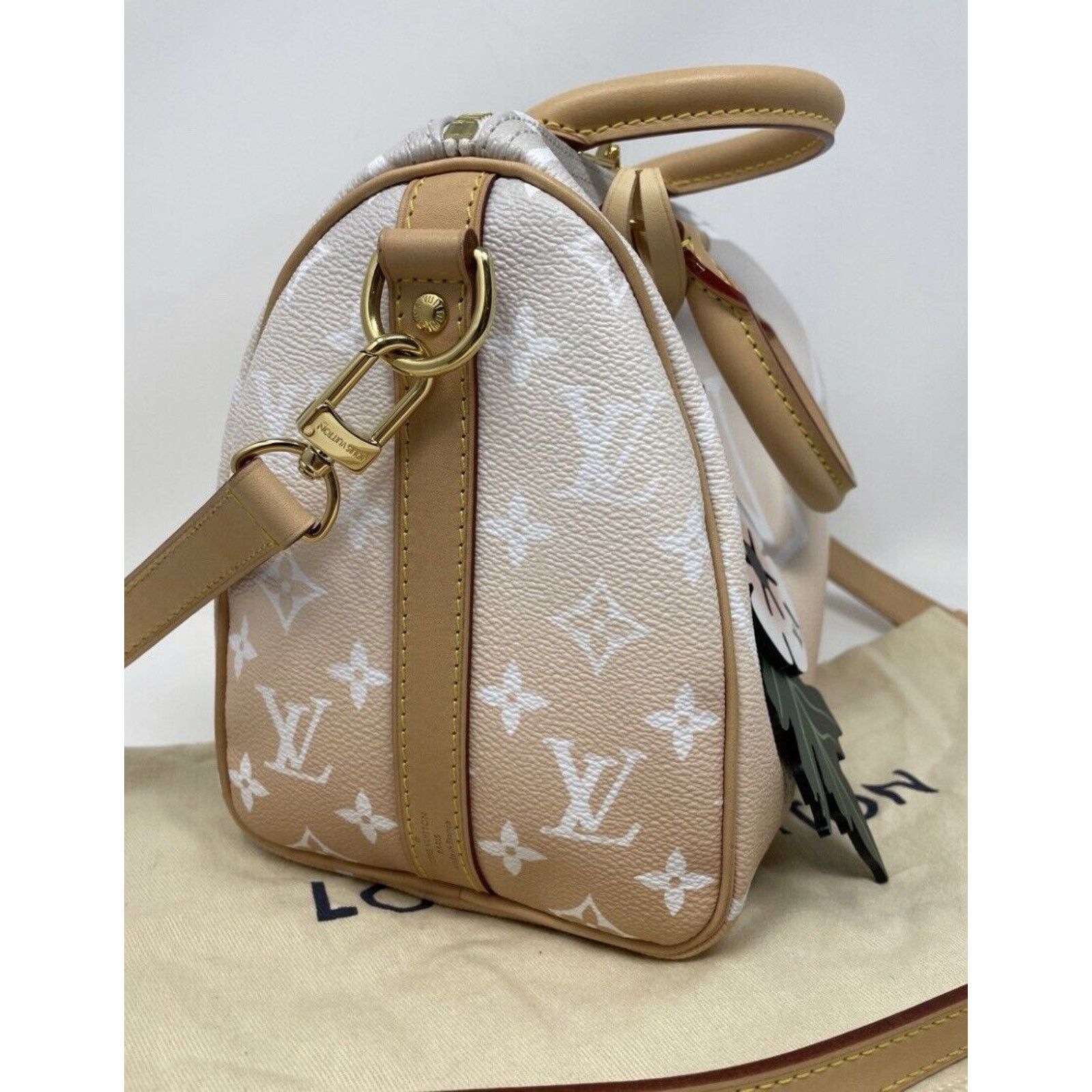 Louis Vuitton Louis Vuitton Speedy 25 Bandouliere By the Pool Mist Color Size ONE SIZE - 4 Thumbnail