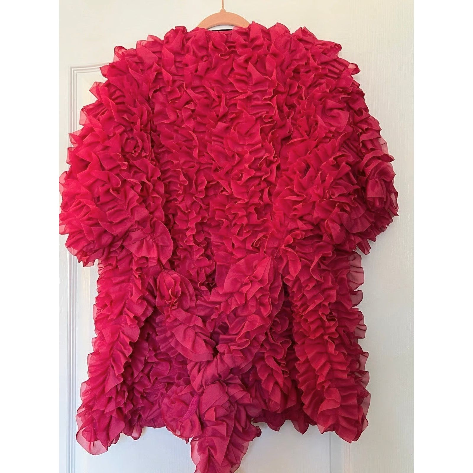 Zara ZARA Textured Statement Coat NWT Couture Barbiecore Jacket Size M / US 6-8 / IT 42-44 - 25 Thumbnail