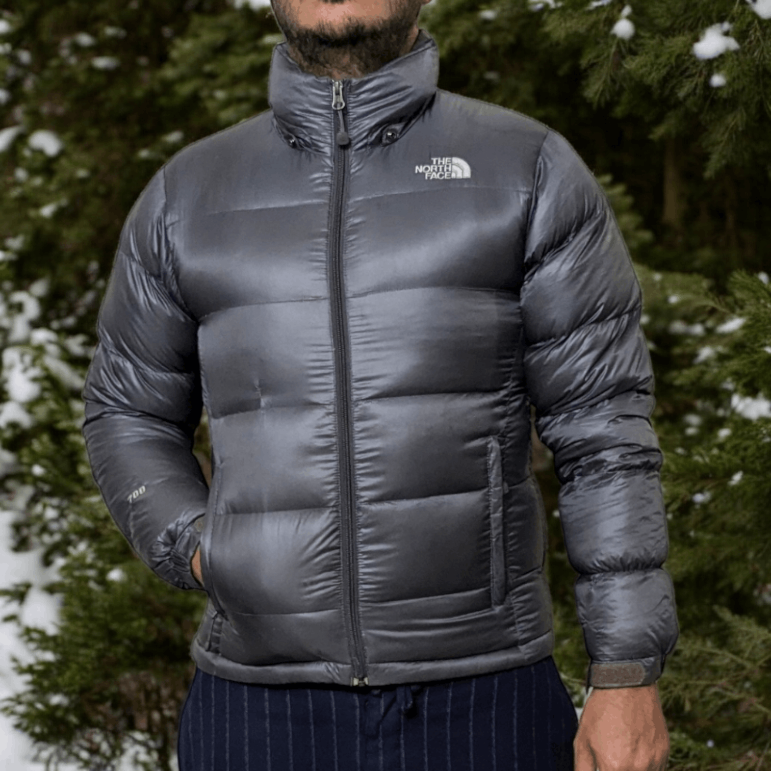 The North Face The North Face 700 series fitted nuptse shimmer grey Size L / US 10 / IT 46 - 4 Thumbnail