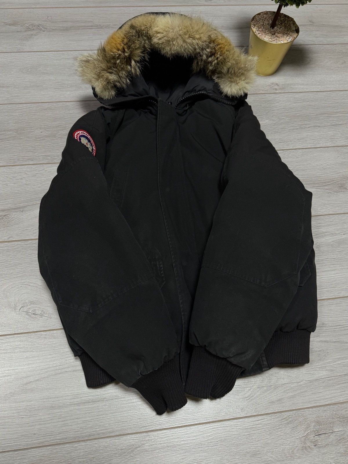 Canada Goose Canada Goose Chilliwack bomber down jacket fur Size US M / EU 48-50 / 2 - 5 Thumbnail
