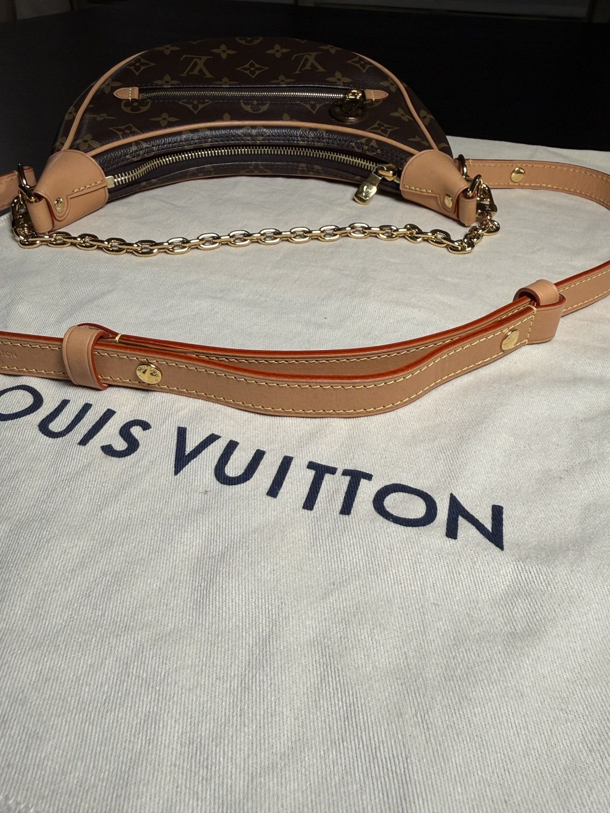 Louis Vuitton LOUIS VUITTON LOOP MONOGRAM BAG Size ONE SIZE - 13 Thumbnail