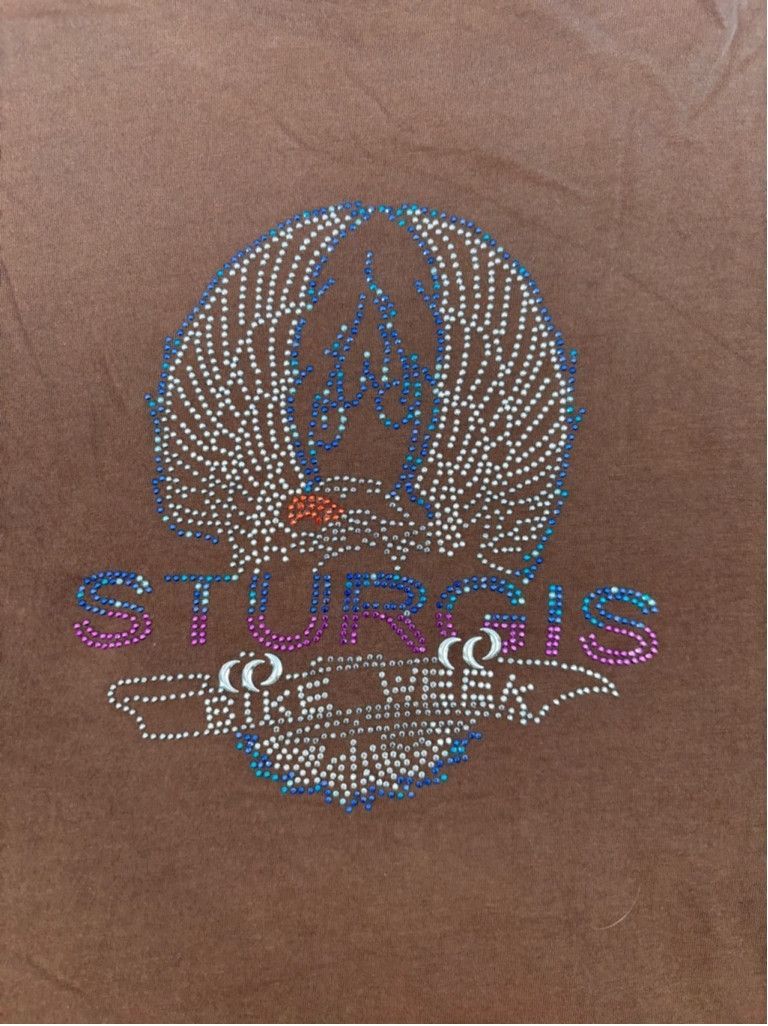 Other Men's Alternative T-shirt Size L Brown Aspen Colorado Skull Size US L / EU 52-54 / 3 - 12 Thumbnail