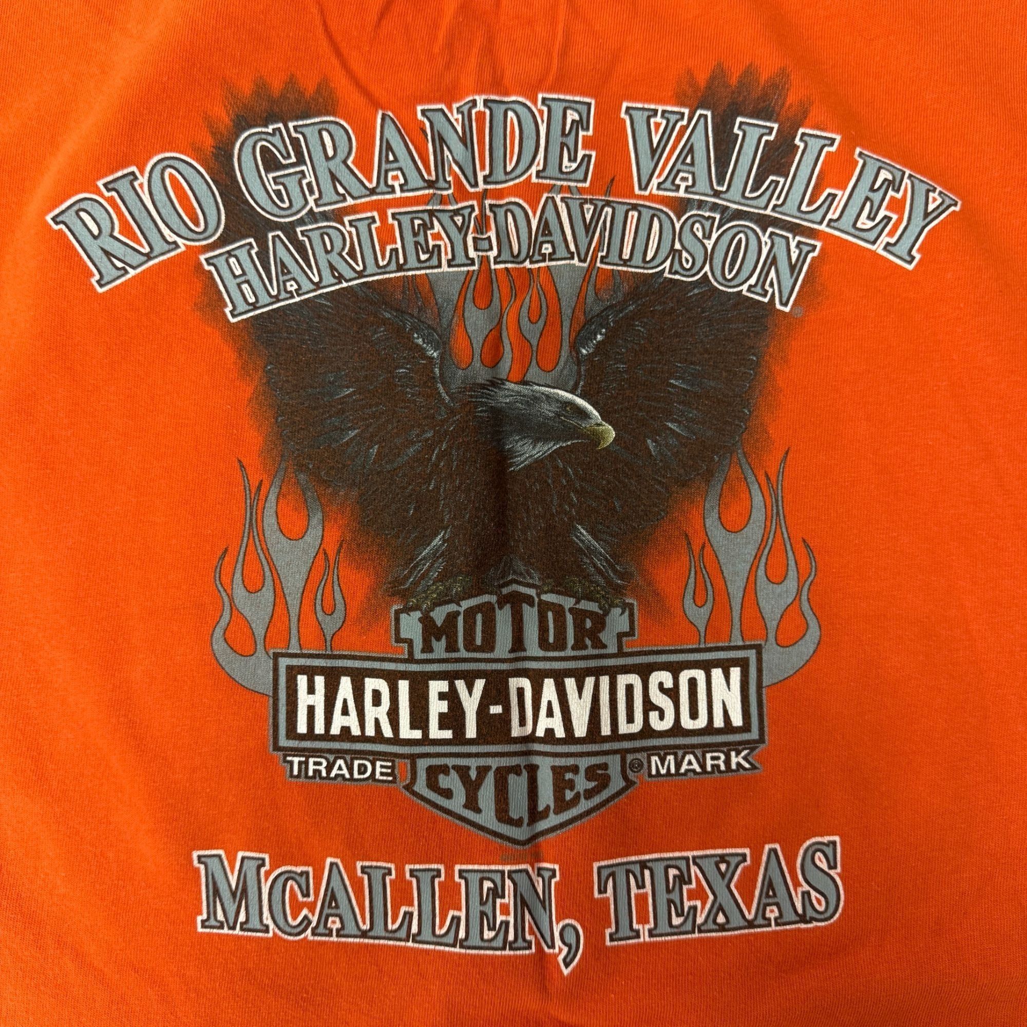 Harley Davidson Vtg Harley Davidson Motorcycle Biker Eagle RIO GRANDE Shirt Size US XL / EU 56 / 4 - 5 Thumbnail