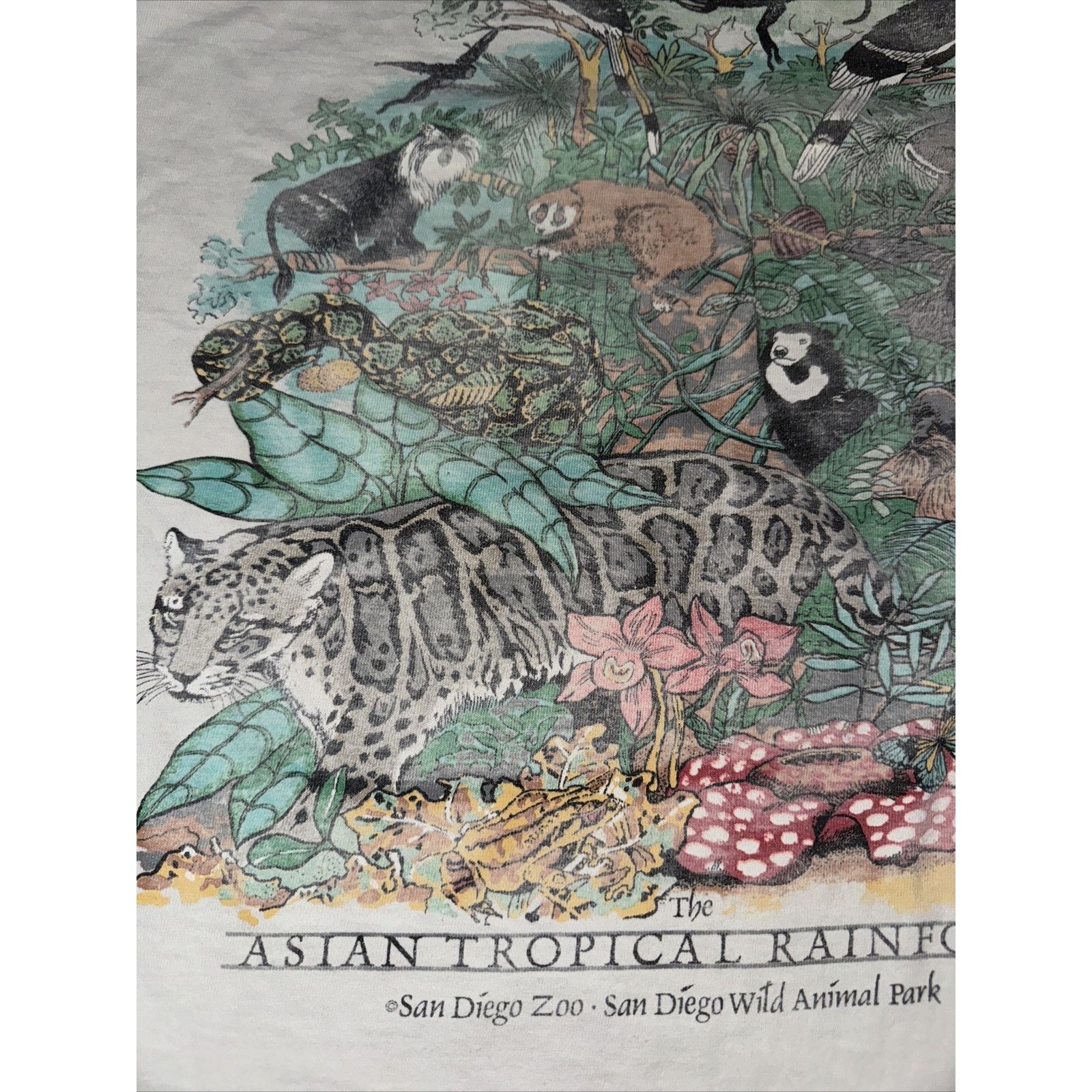 Band Tees × The Mountain Vintage Oneta San Diego Zoo T-Shirt White L 22x26 Tiger Size US L / EU 52-54 / 3 - 11 Thumbnail