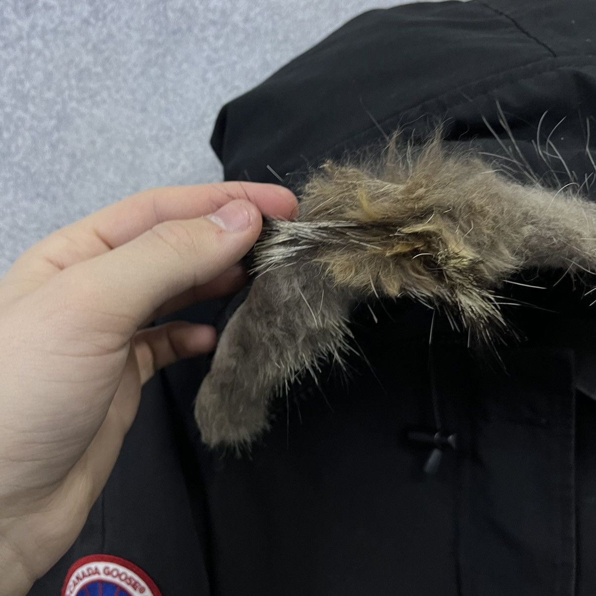 Canada Goose Canada Goose Jacket Black Size US M / EU 48-50 / 2 - 6 Thumbnail
