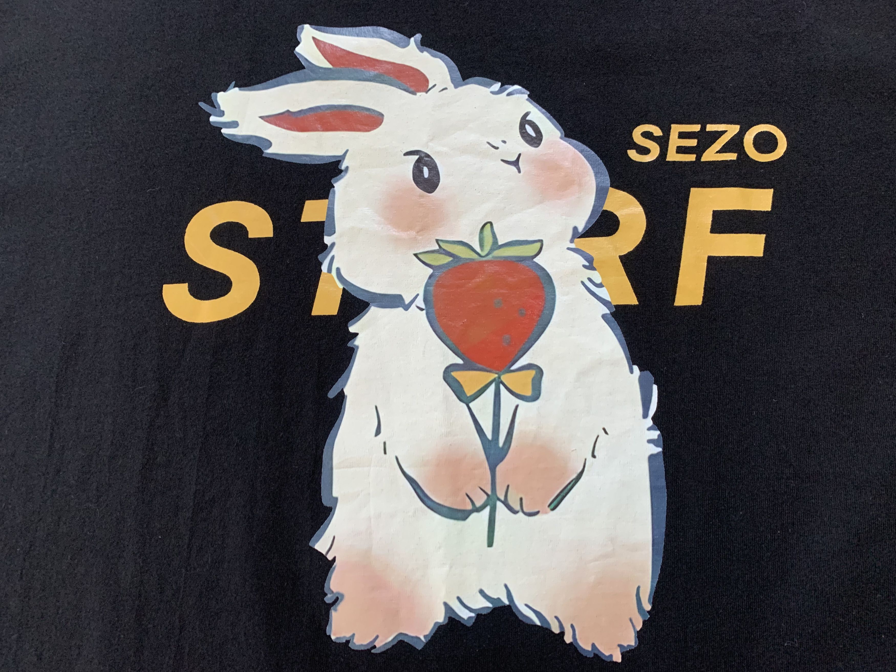 Other Oversize Sezo Starf Bunny Printed T-Shirt Size US XXL / EU 58 / 5 - 5 Thumbnail