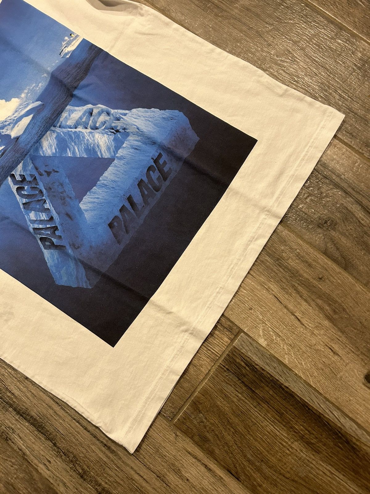 Palace Palace FW21 berg ferg t-shirt Size US L / EU 52-54 / 3 - 2 Thumbnail