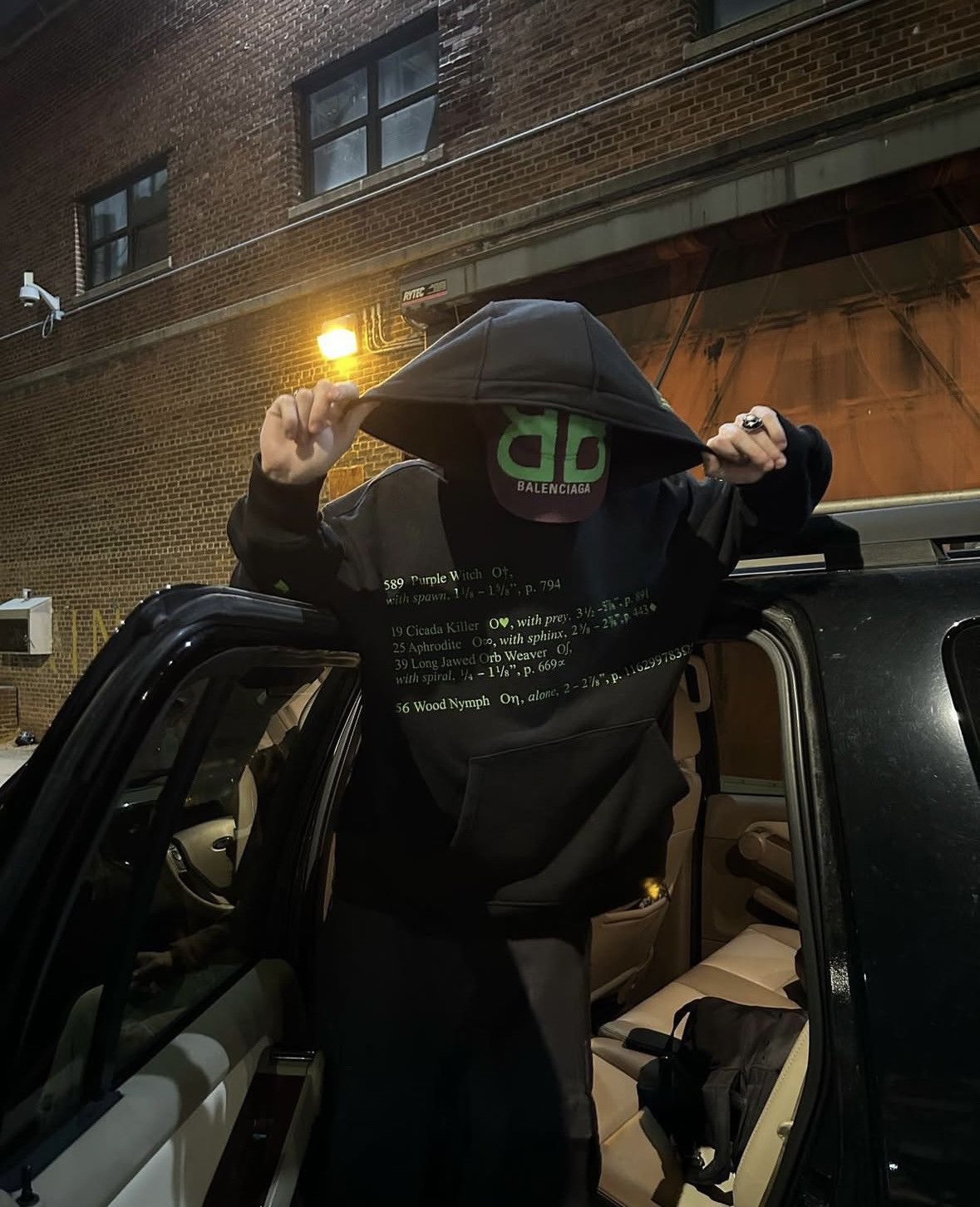 Sterling Ruby S. R. Studios Insect Index Oversized Hoodie Size US XS / EU 42 / 0 - 9 Thumbnail