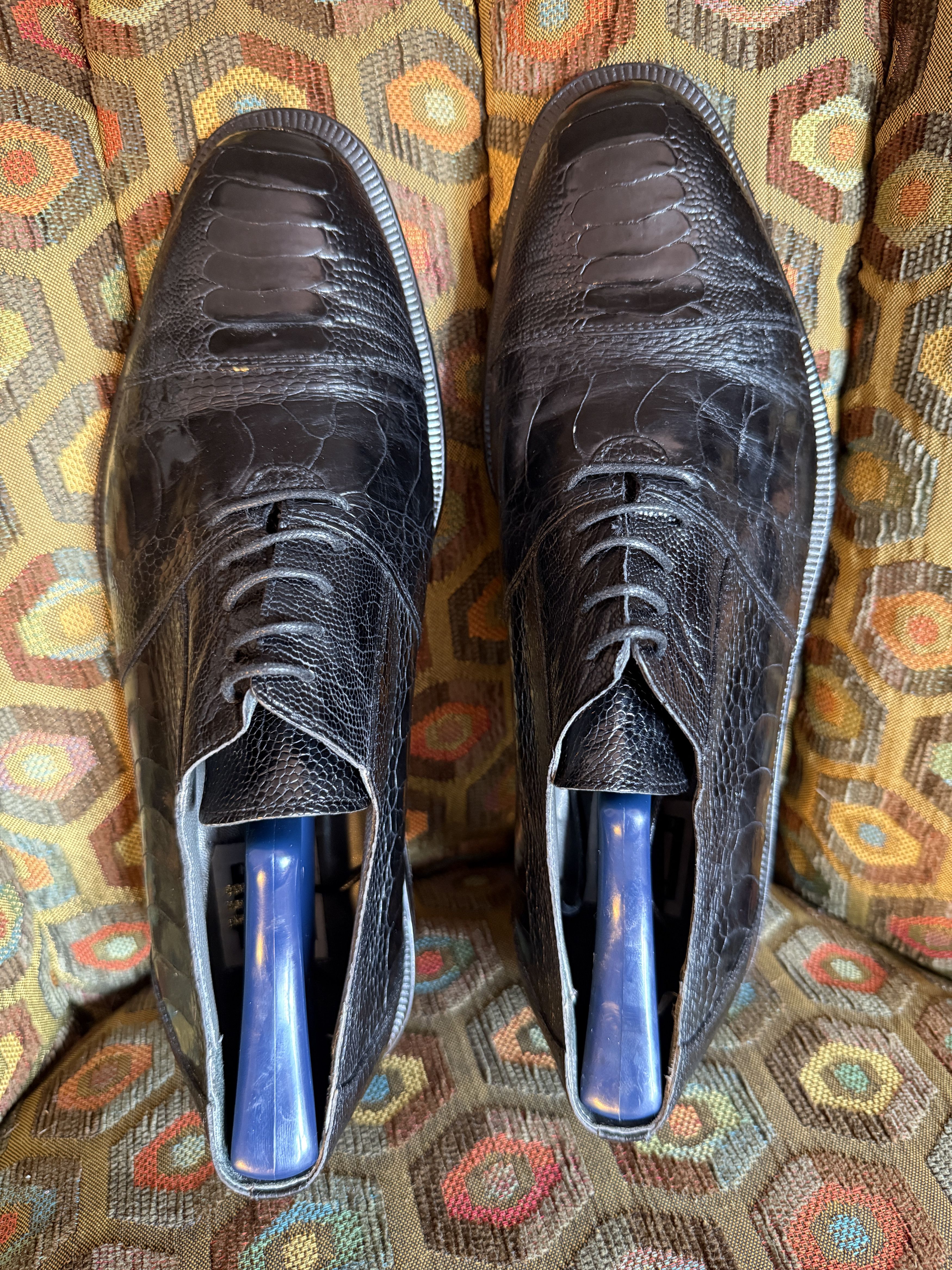David Eden SALOMON ostrich leg cap-toe oxfords in black+box, bag, trees Size US 9.5 / EU 42-43 - 2 Thumbnail