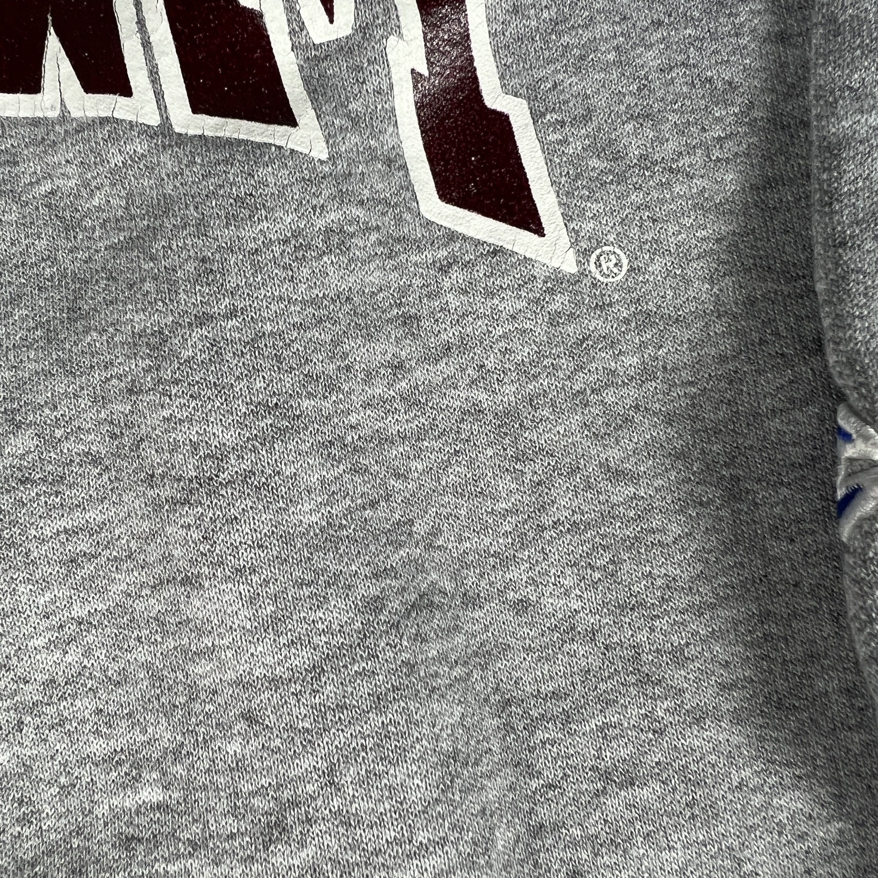 Champion × NCAA × Vintage Y2K Champion Texas A&M Aggies Sweatshirt Grey Faded Crewneck Size US M / EU 48-50 / 2 - 6 Thumbnail