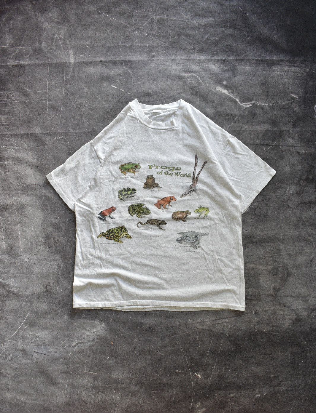 Vintage Vintage 90s ‘Frogs of the World’ T-Shirt (L) Size US L / EU 52-54 / 3 - 1 Thumbnail
