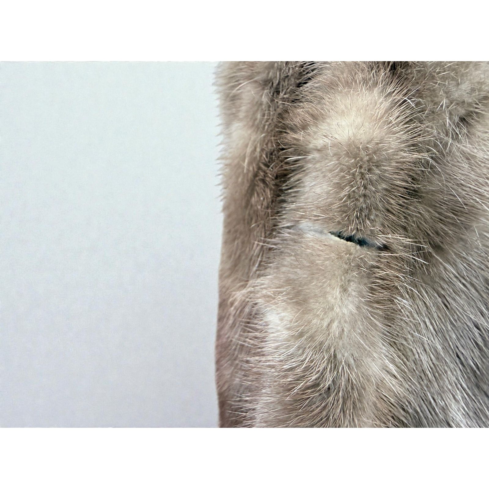 Vintage Vintage 60s Blue Iris Mink Coat by Furs by Robert Detroit Size M / US 6-8 / IT 42-44 - 9 Thumbnail