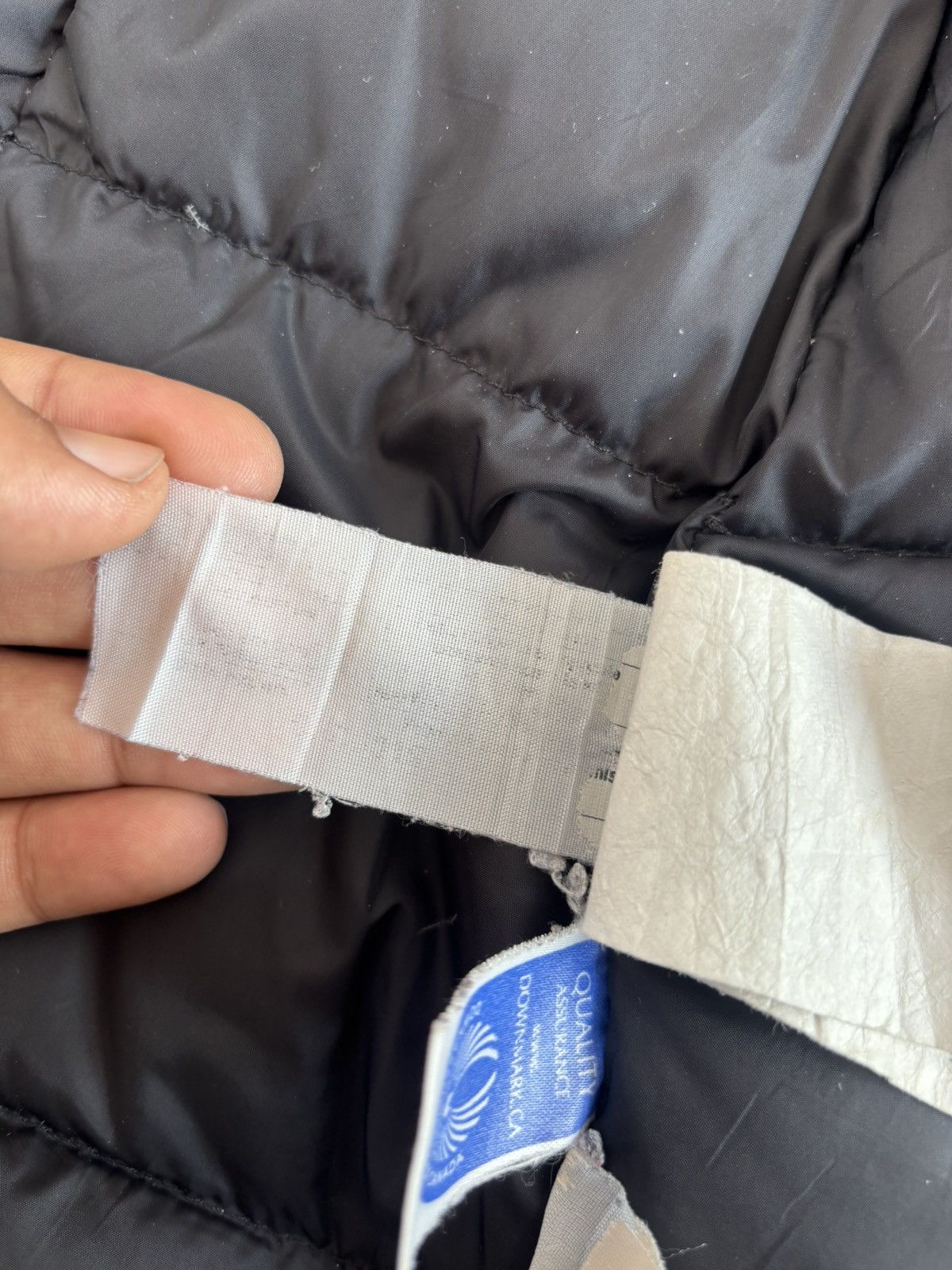 Canada Goose Canada Goose Kensington Parka Graphite Size US S / EU 44-46 / 1 - 22 Thumbnail