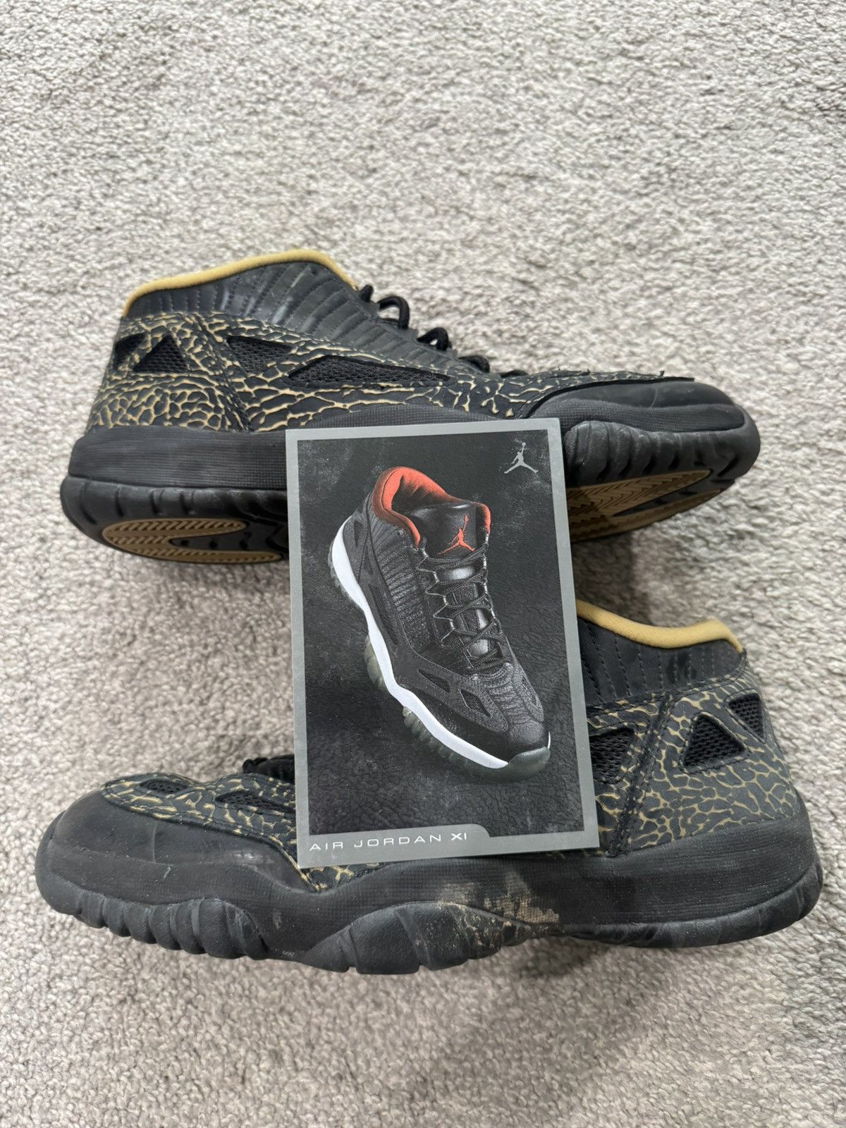 Jordan 11 Retro Low IE