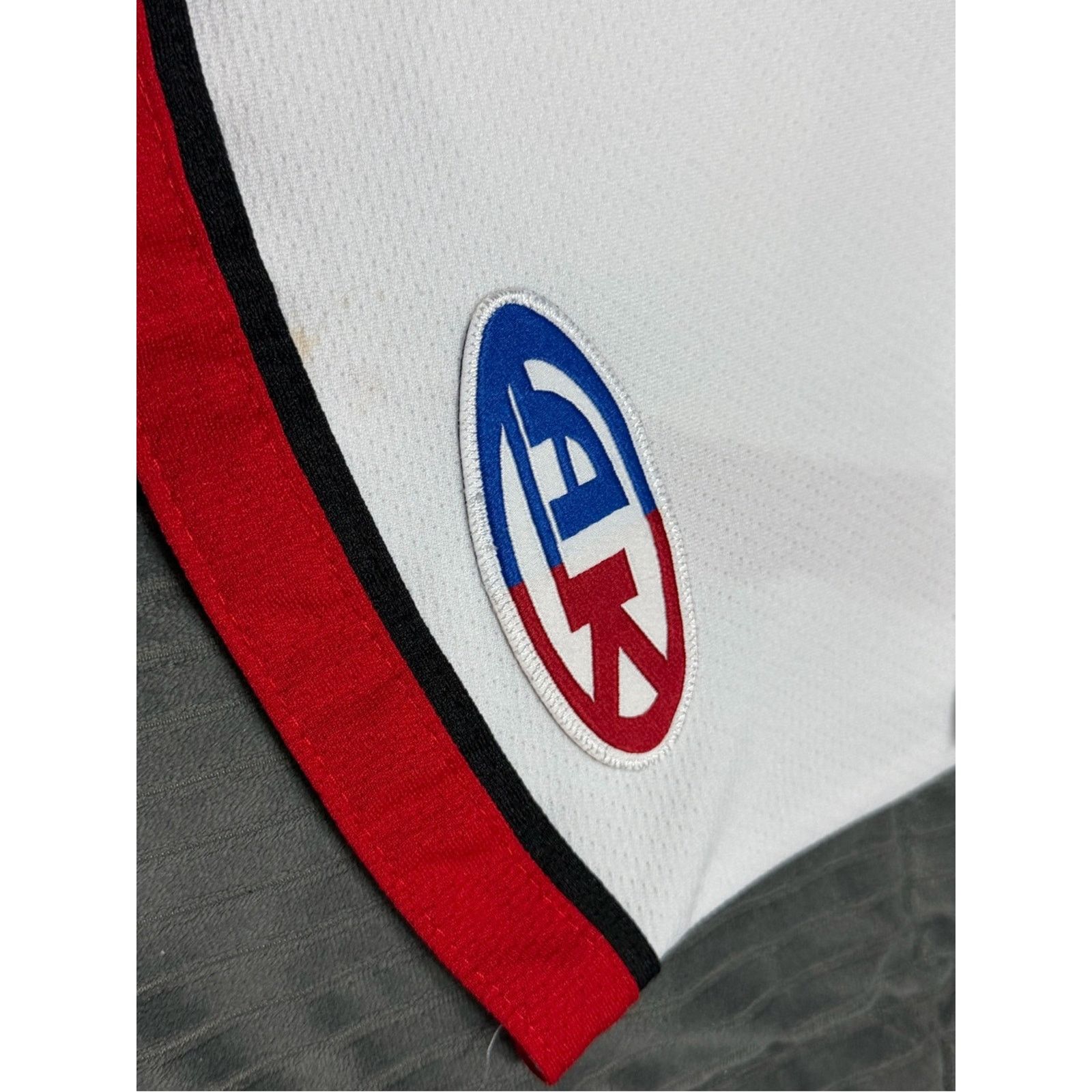 Other Palm Beach Hawks Authentic Hockey Goalie Jersey Mens RARE Size US S / EU 44-46 / 1 - 10 Thumbnail