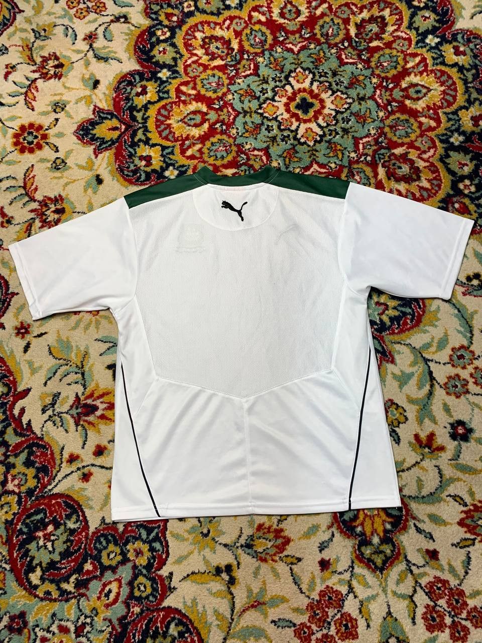 Puma Plymouth Argyle Shirt Soccer Jersey Training Top Puma Mens M Size US M / EU 48-50 / 2 - 2 Thumbnail