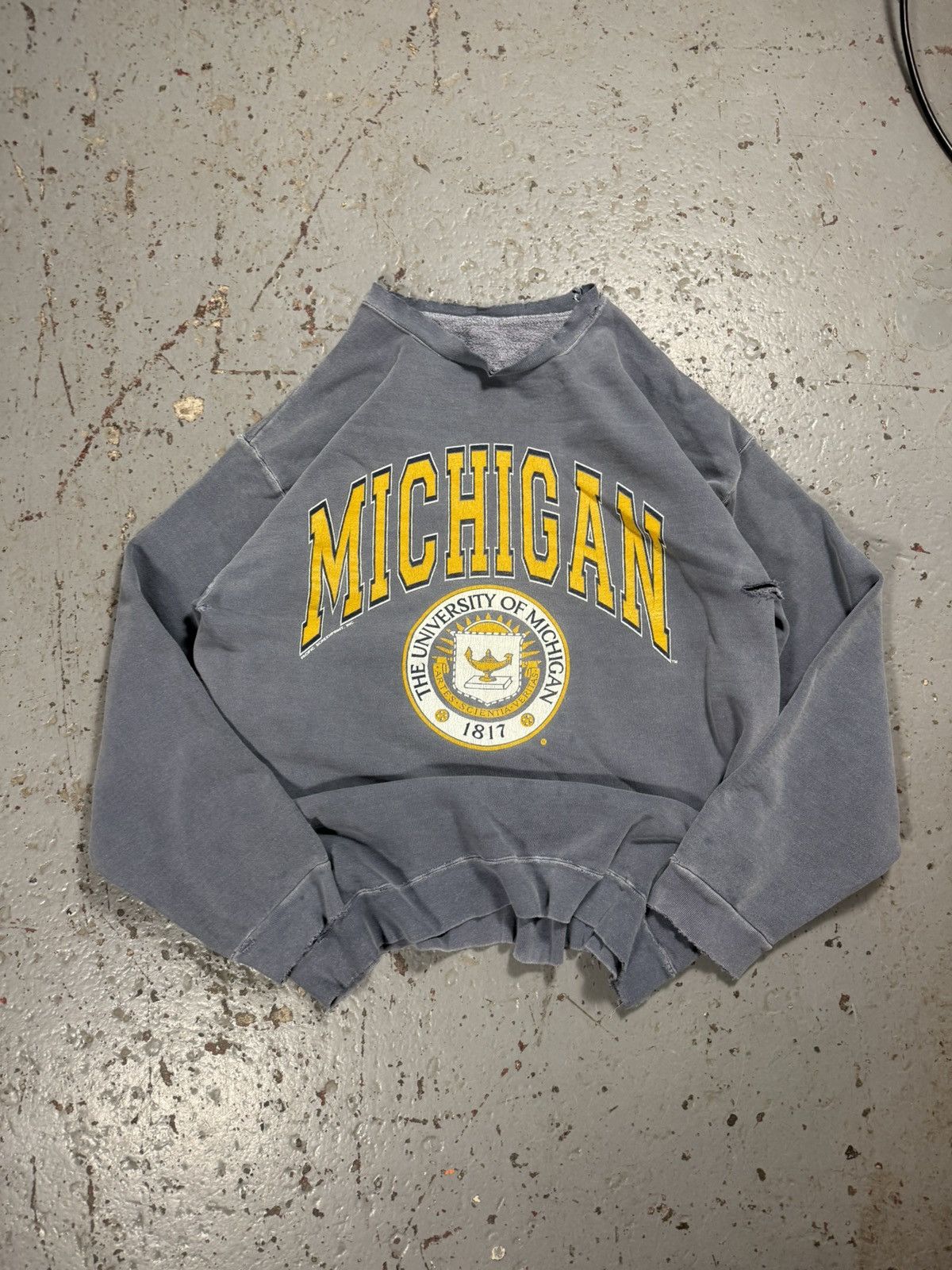Other Vintage Distressed Faded Y2K Michigan State Ncaa Creneck Size US XL / EU 56 / 4 - 1 Thumbnail