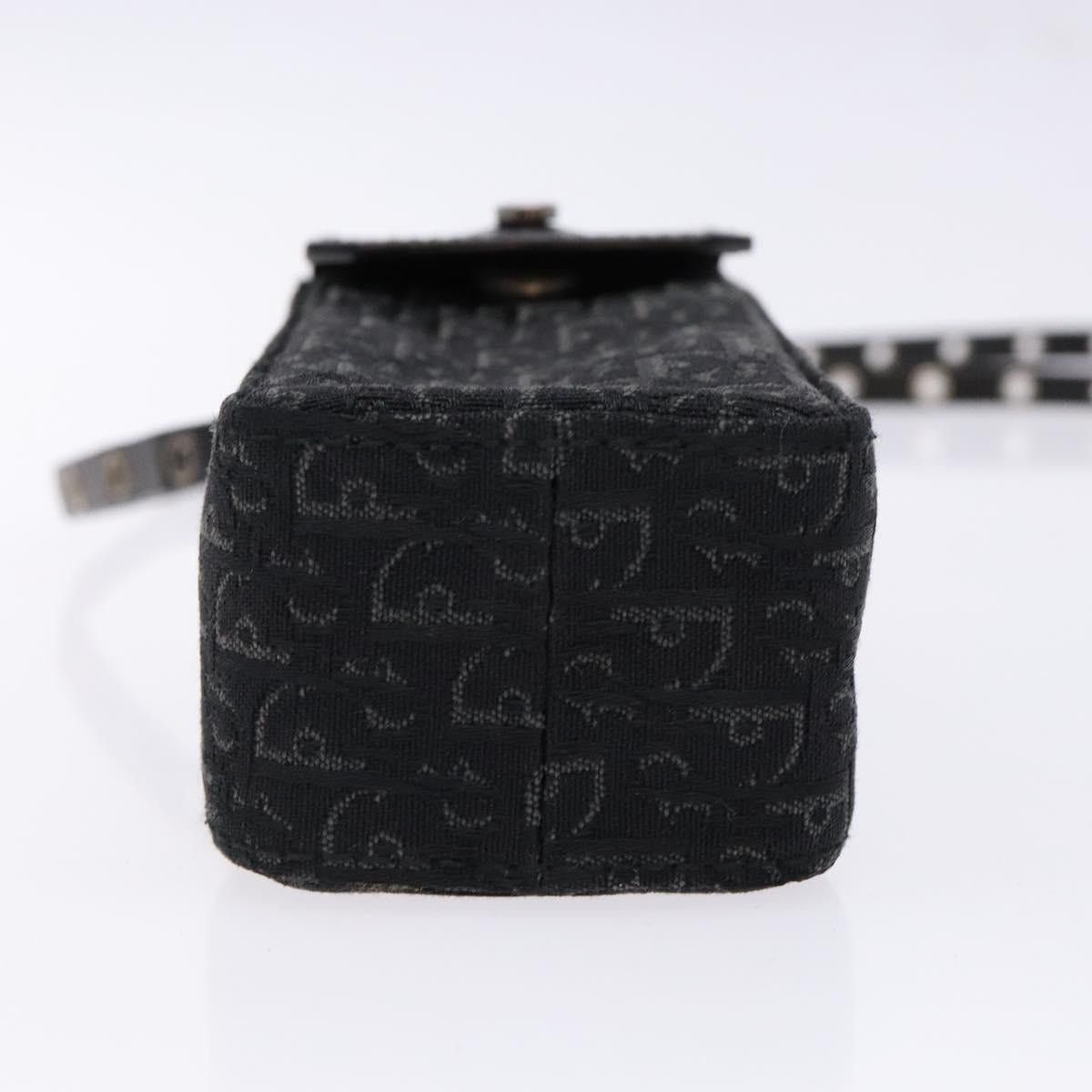 Dior DIOR Trotter Canvas Shoulder Bag Black Silver Size ONE SIZE - 9 Thumbnail