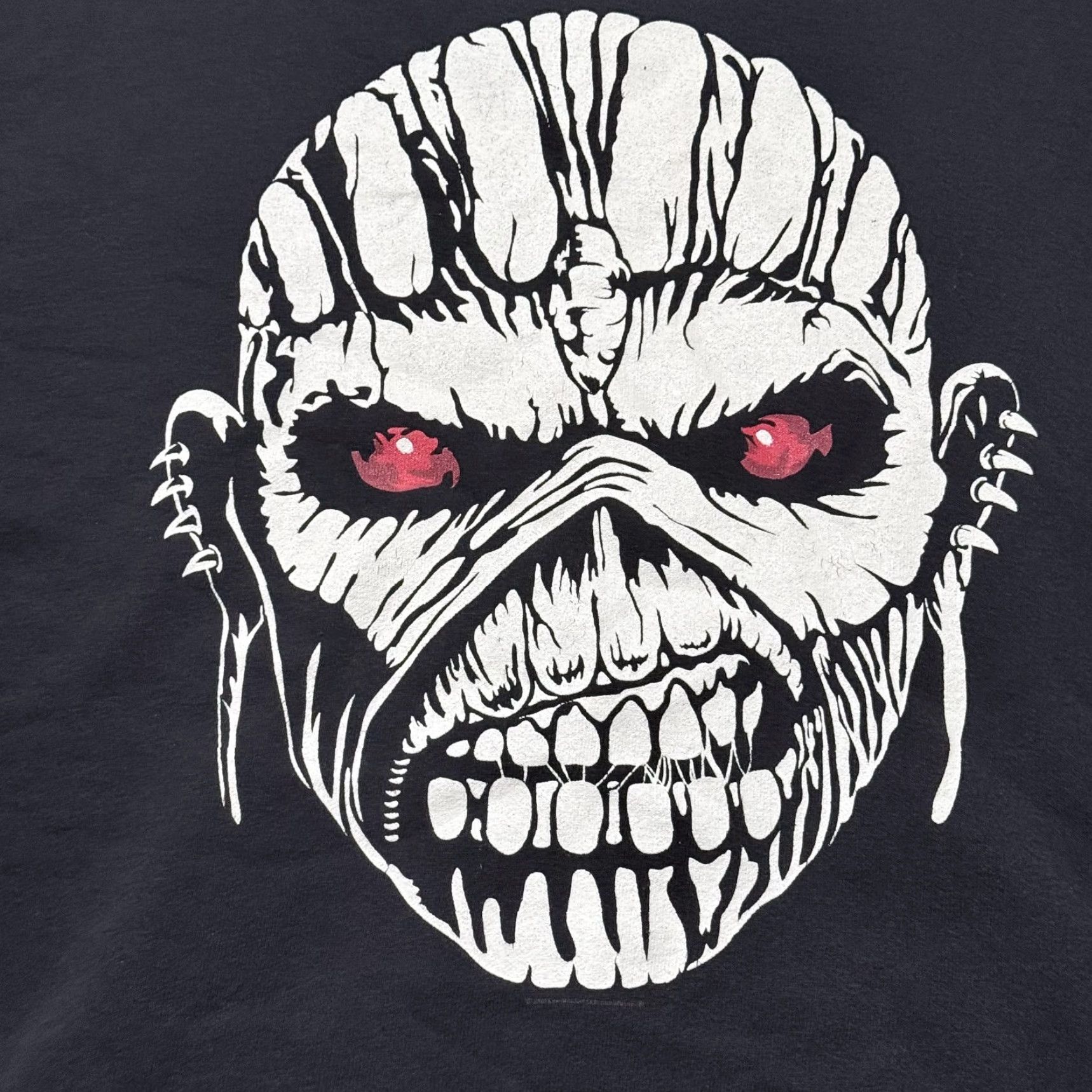 Fruit Of The Loom Iron Maiden The Book of Souls Fruit of the Loom Full Zip Hoodie Black Medium Size US M / EU 48-50 / 2 - 6 Thumbnail
