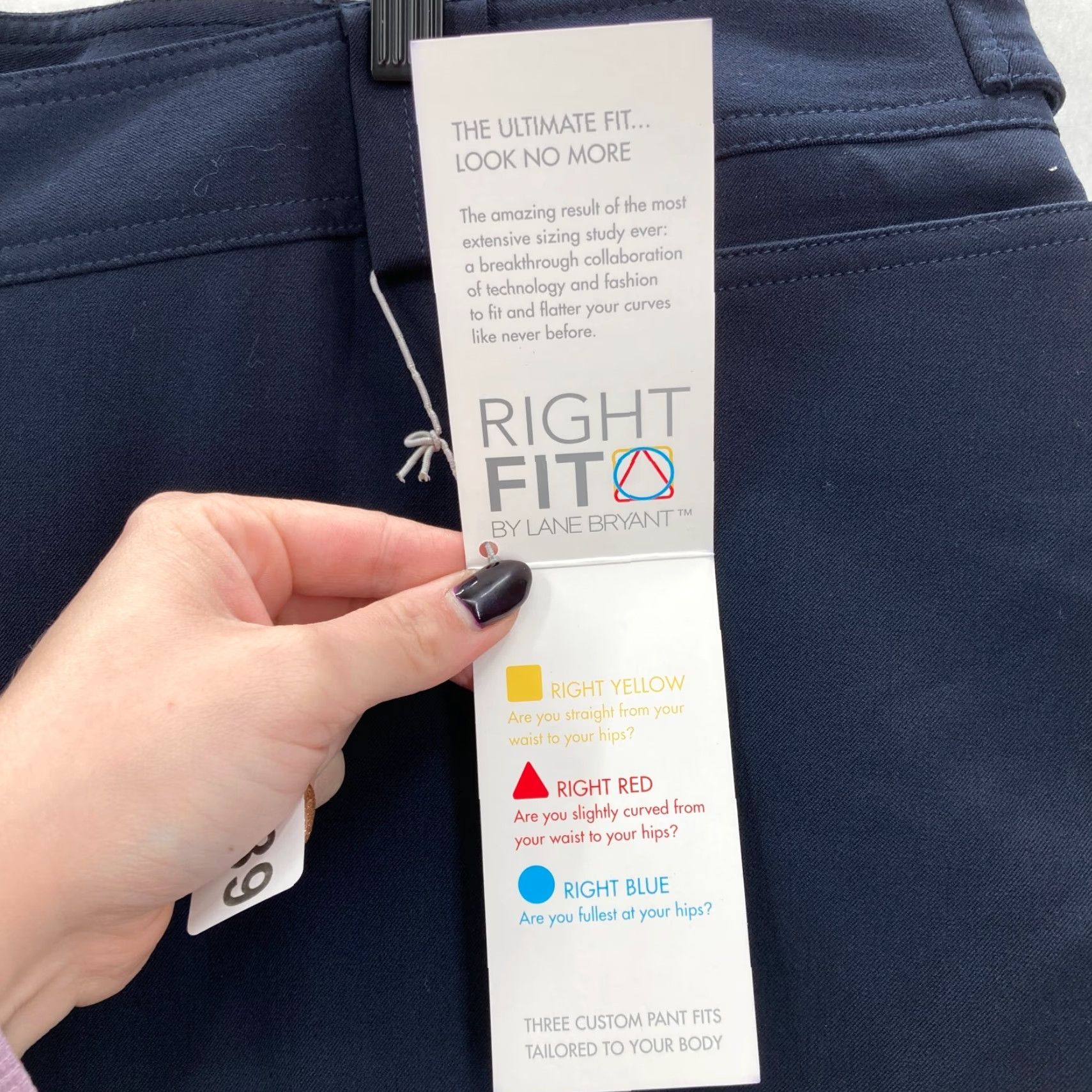 Vintage Lane Bryant Houston Trouser Women's Plus 30/32 Blue Stretch Curvy Fit Pants Flat Front Pockets Workwear Casual Chic Size 30" / US 8 / IT 44 - 6 Thumbnail
