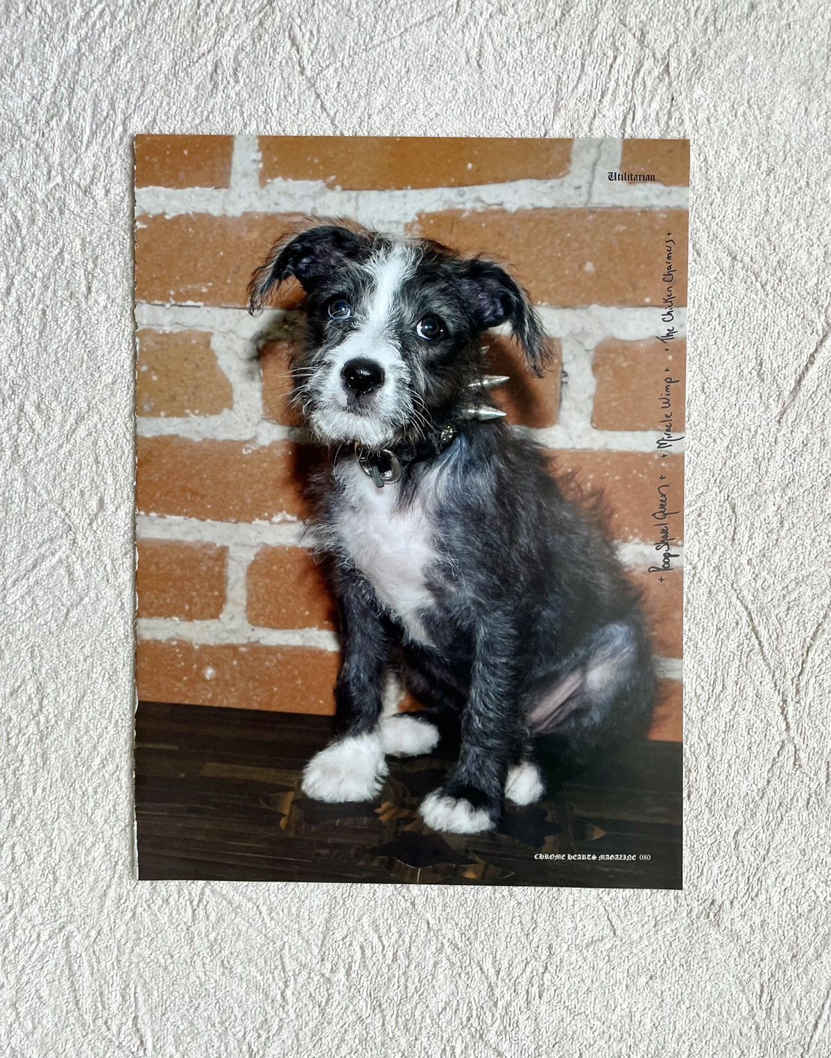 Chrome Hearts Chrome Hearts cute dog 8x11 cutout Poster Size ONE SIZE - 1 Thumbnail
