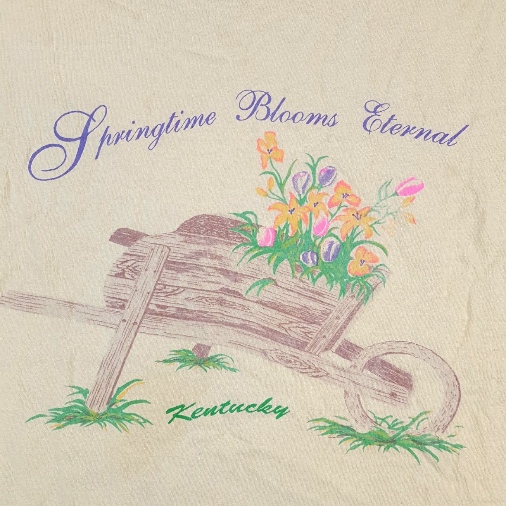 Anvil VINTAGE 90s Springtime Blooms Eternal Kentucky Size L Nature Flower T Shirt Size US L / EU 52-54 / 3 - 3 Thumbnail