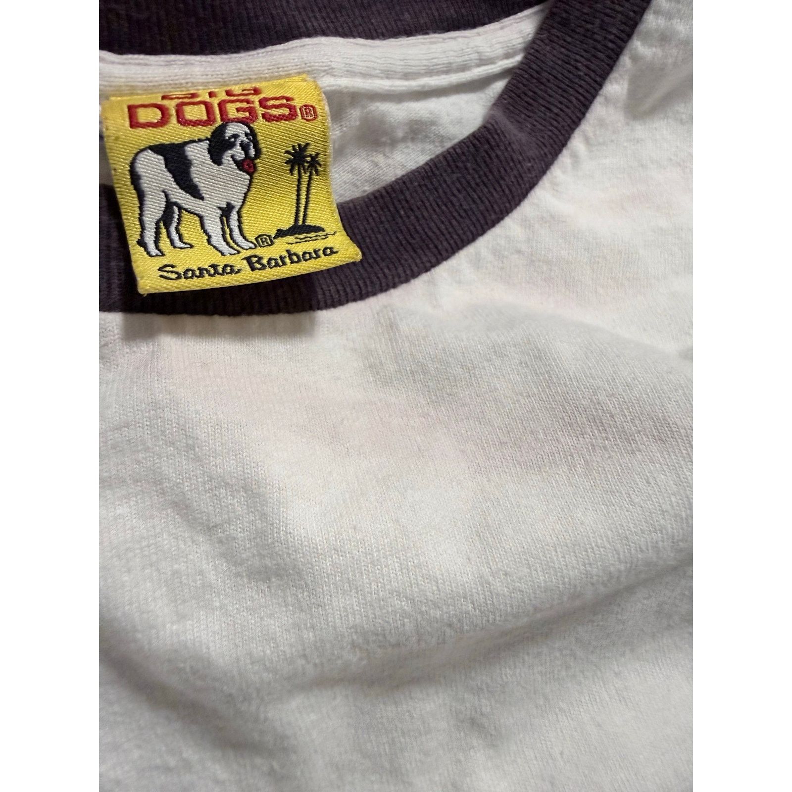 Big Dogs Large 98’ big dogs swimming tee Size US L / EU 52-54 / 3 - 5 Thumbnail