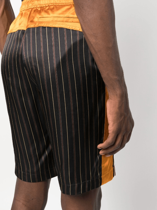 Dries Van Noten BNWT SS23 DRIES VAN NOTEN PARCHER SHORTS 48 Size US 32 / EU 48 - 12 Thumbnail