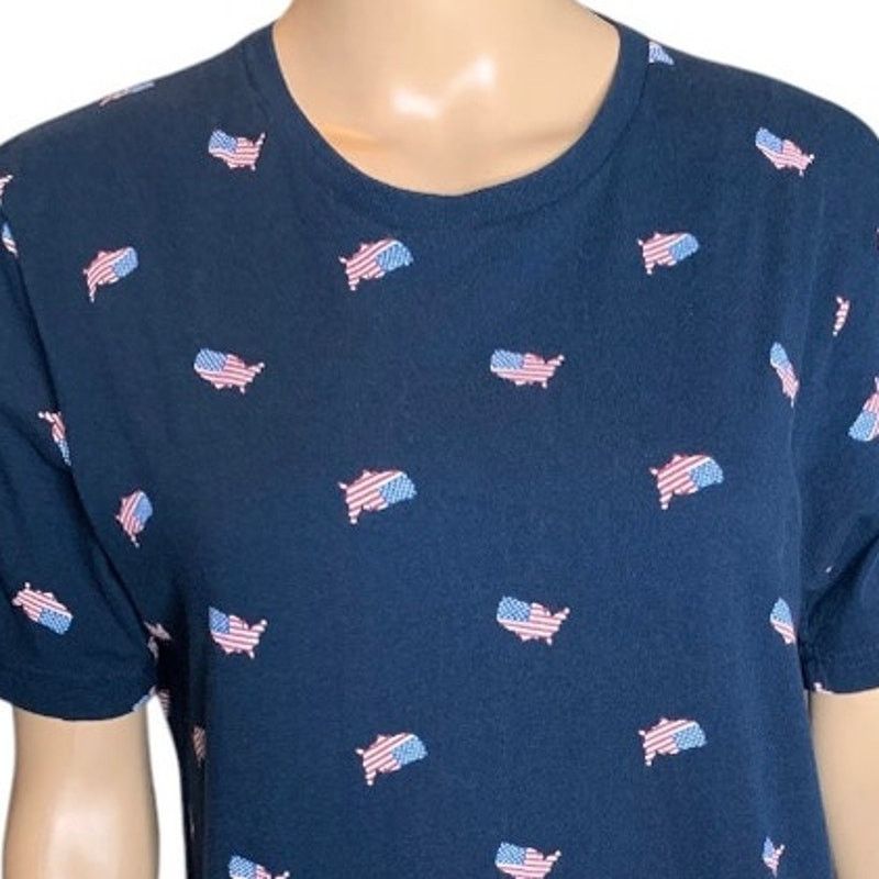 Aeropostale Aeropostale Mens Size Medium Patriotic T-Shirt American Flag Size US M / EU 48-50 / 2 - 2 Thumbnail