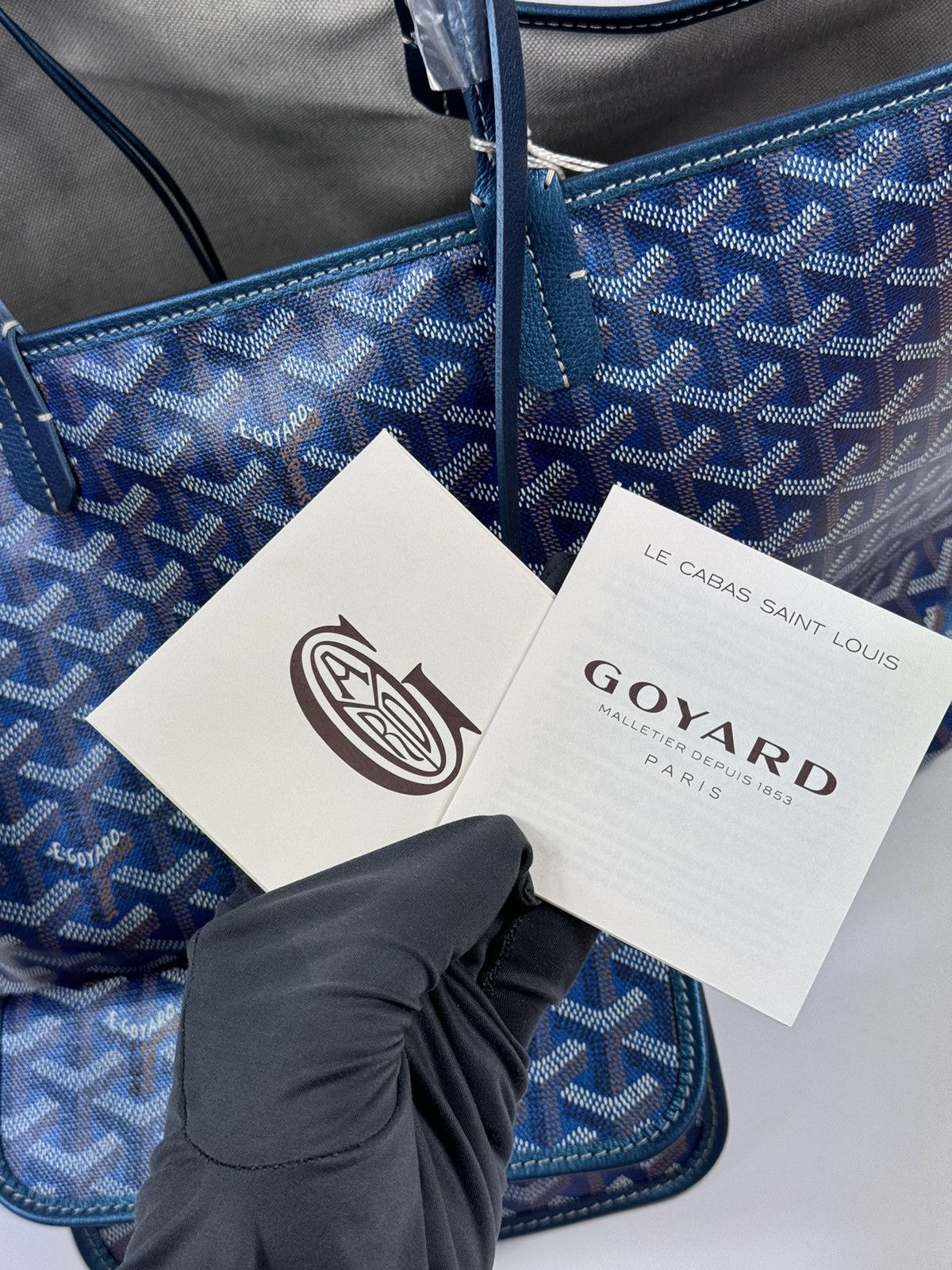 Goyard SAINT LOUIS PM LIMITED EDITION IRIDESCENT BLUE BAG Size ONE SIZE - 9 Thumbnail