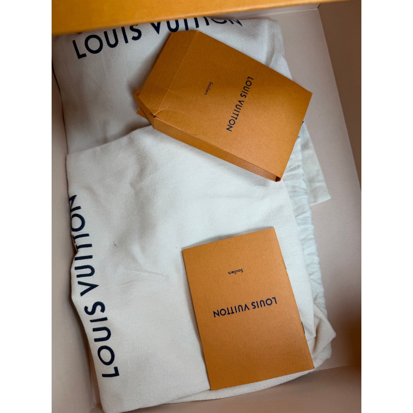 Louis Vuitton Size 7LV/8US - Louis Vuitton Denim Fastlane Sneakers NEW Size US 8 / EU 41 - 10 Thumbnail