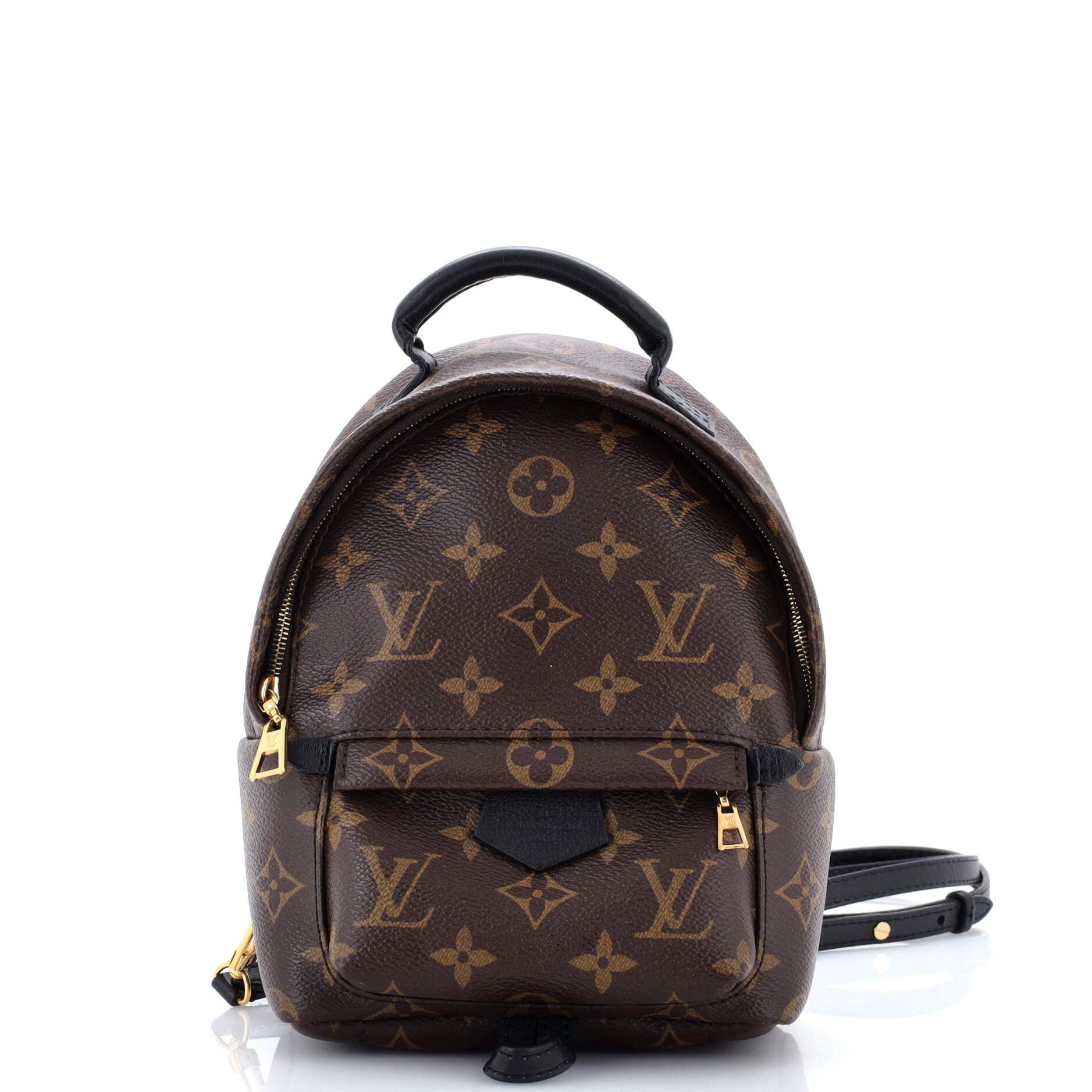 Louis Vuitton Palm Springs Backpack Size ONE SIZE - 1 Thumbnail