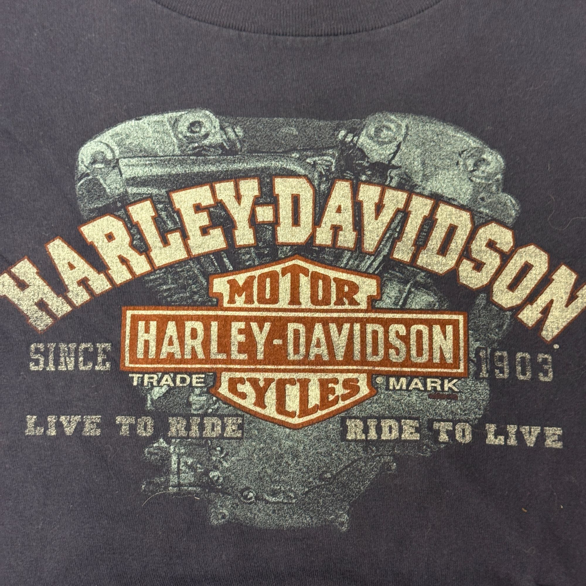 Harley Davidson Harley Davidson Motorcycle Navy Blue Brandon Florida T Shirt Size US XL / EU 56 / 4 - 6 Thumbnail