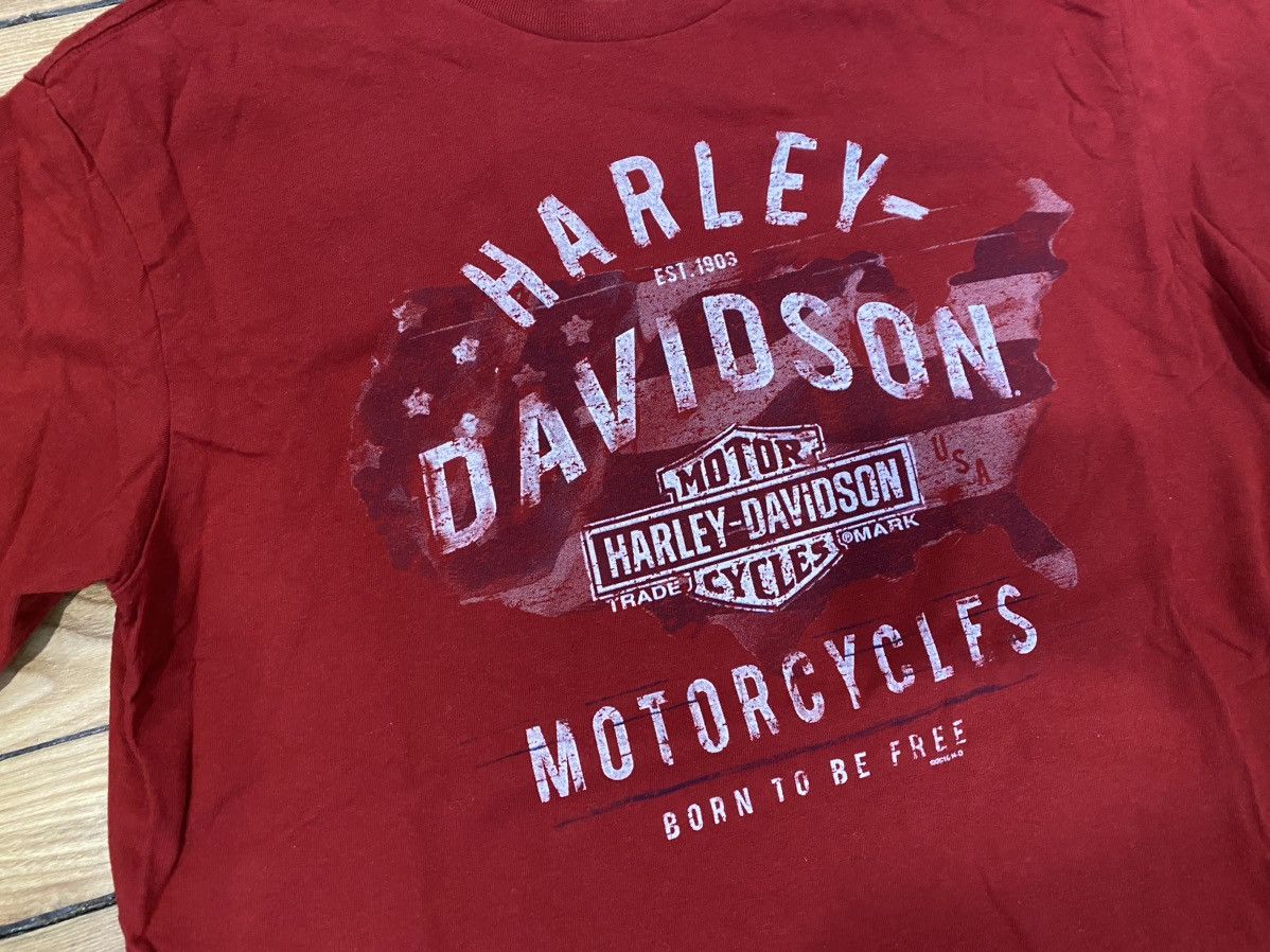 Harley Davidson × Vintage Harley tshirt Florida L Size US L / EU 52-54 / 3 - 4 Thumbnail