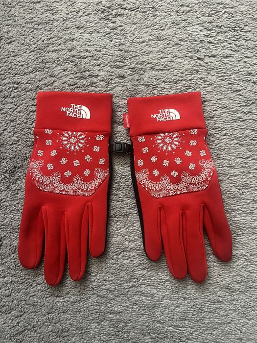 Supreme store tnf gloves