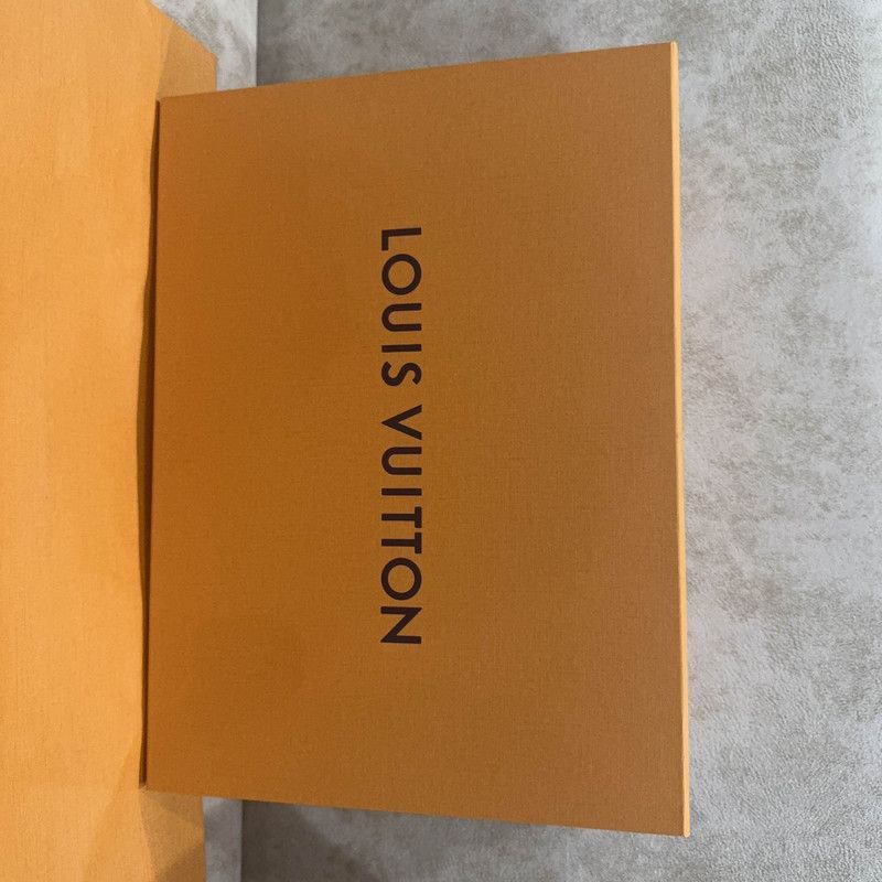 Louis Vuitton Nigo x Louis Vuitton Low Top Trainer Sneakers -2508 Size US 8 / EU 41 - 6 Thumbnail