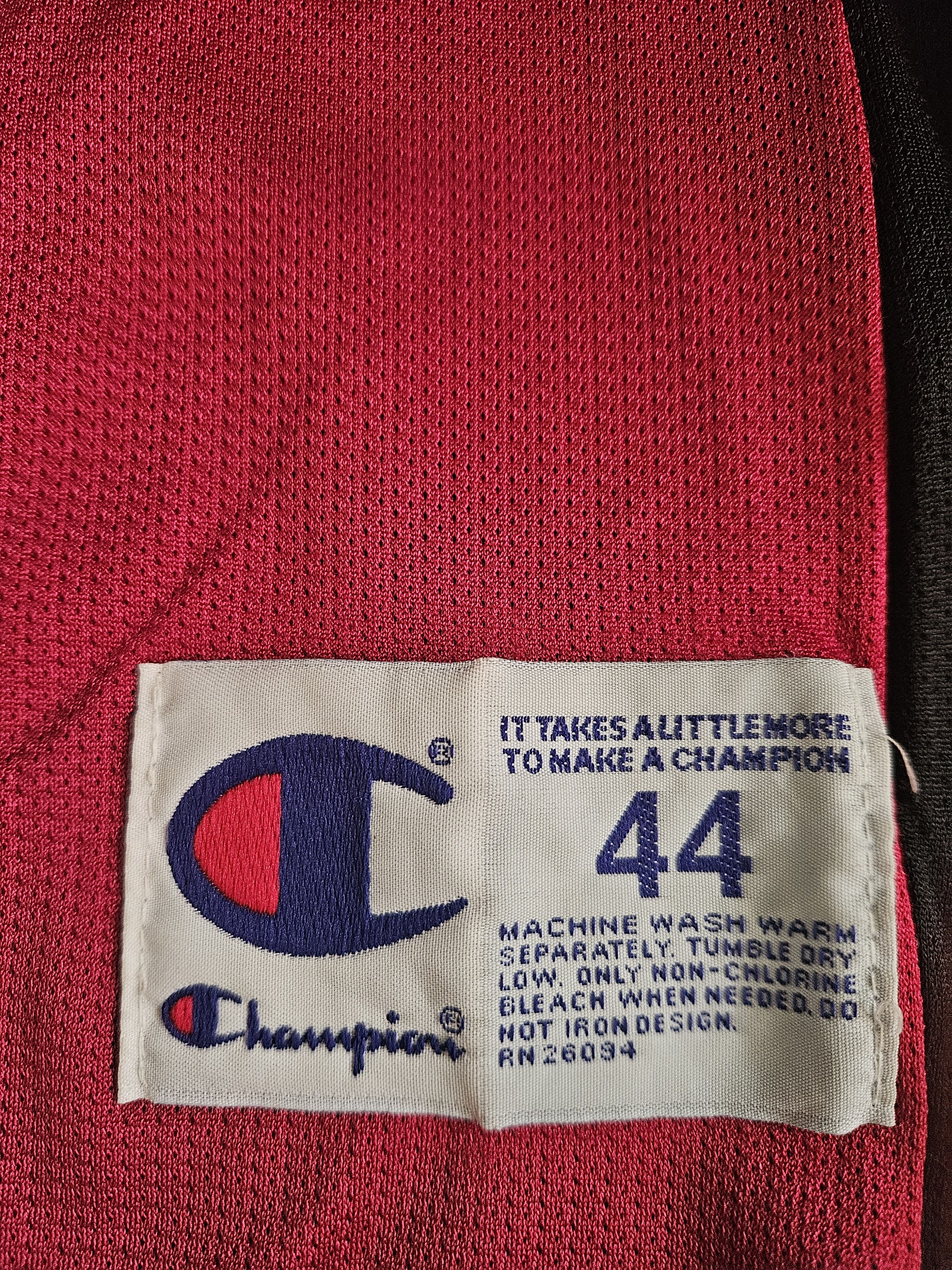 Champion 90's Champion Detroit Pistons Jersey Size US L / EU 52-54 / 3 - 5 Thumbnail
